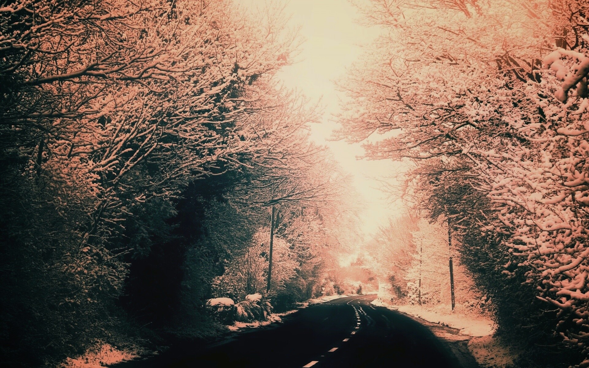 Дорога через зимний лес обои