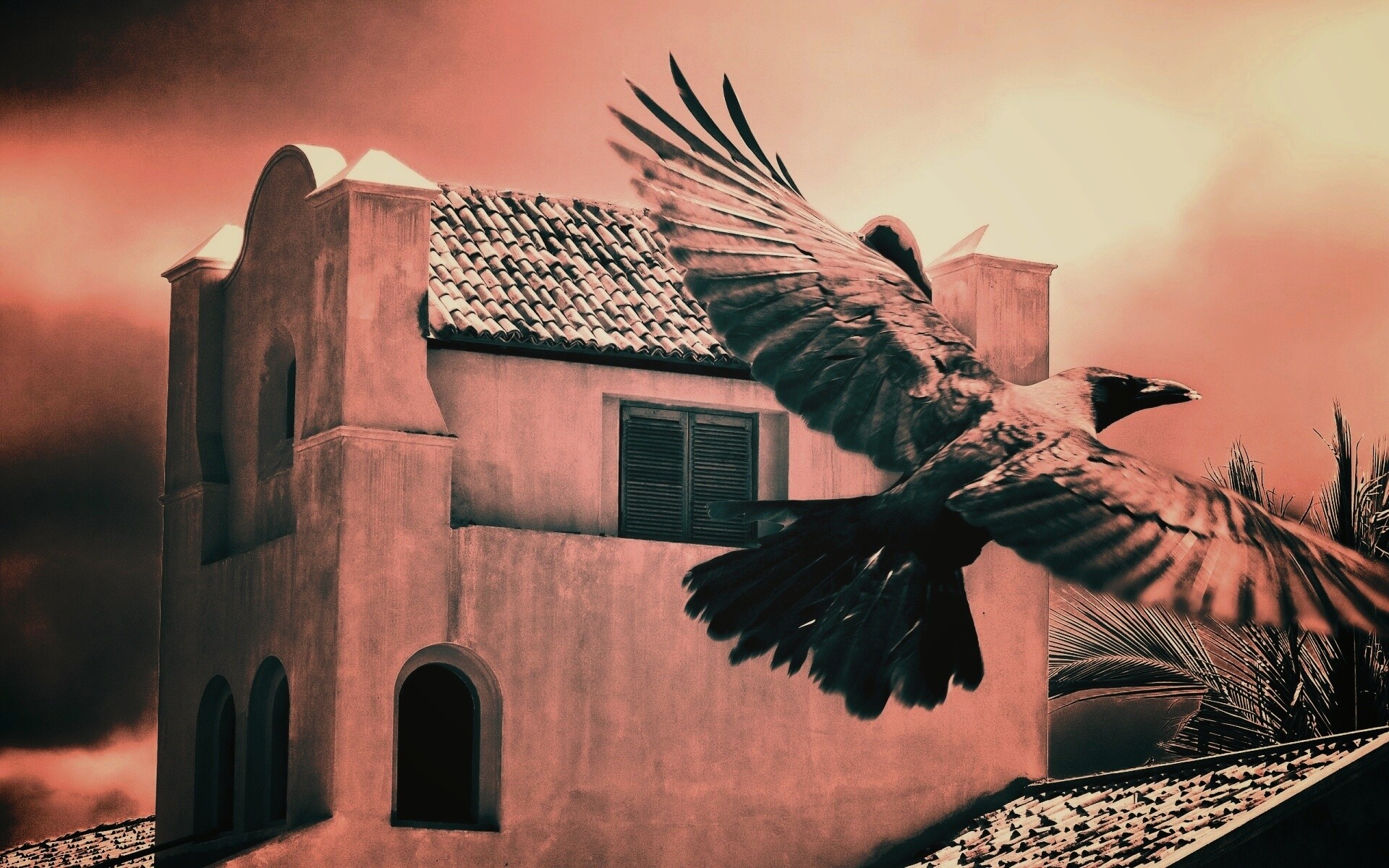 Полёт ворона обои