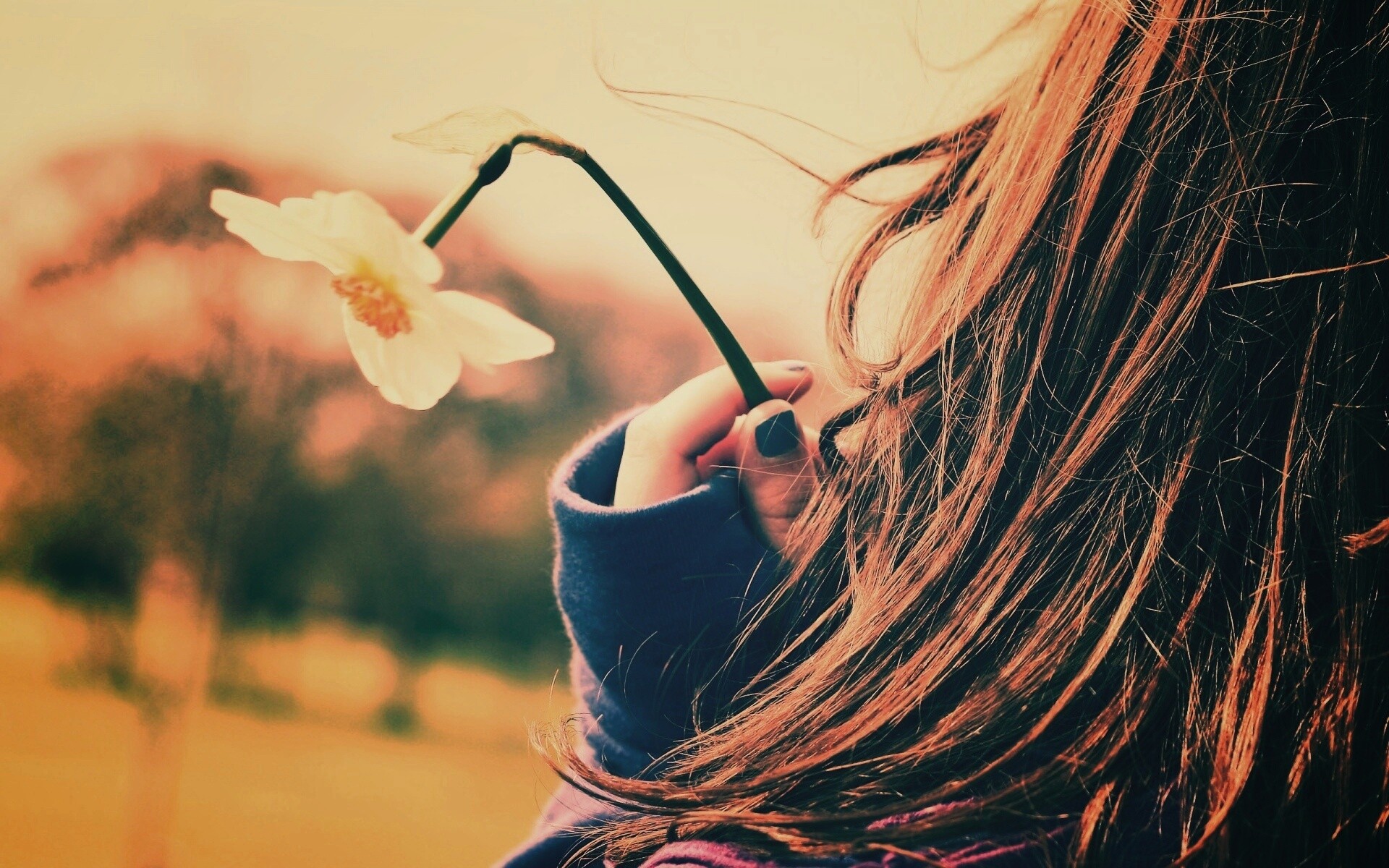 Девушка с нарциссом в руке обои