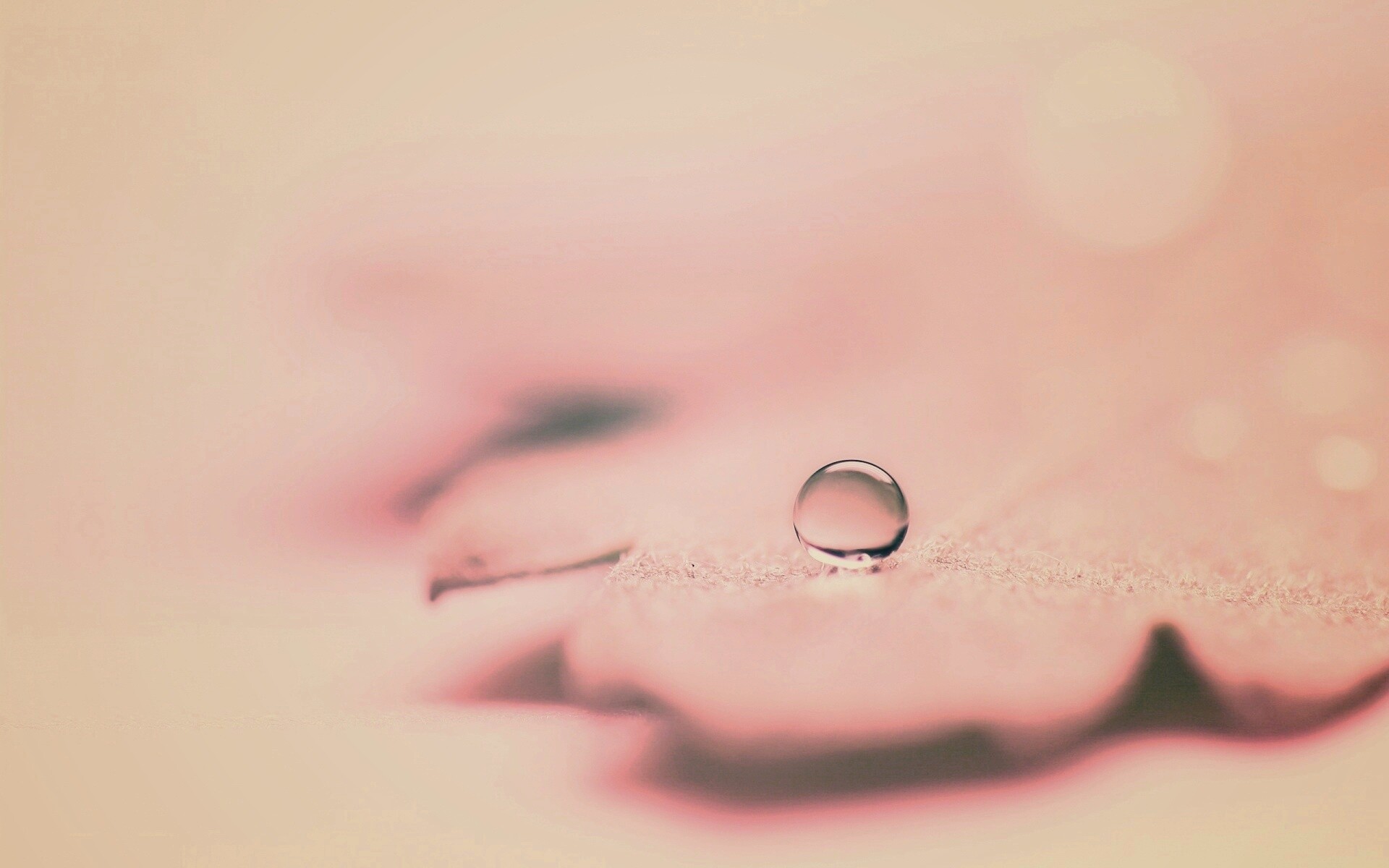 Капля на замёрзжем листе обои