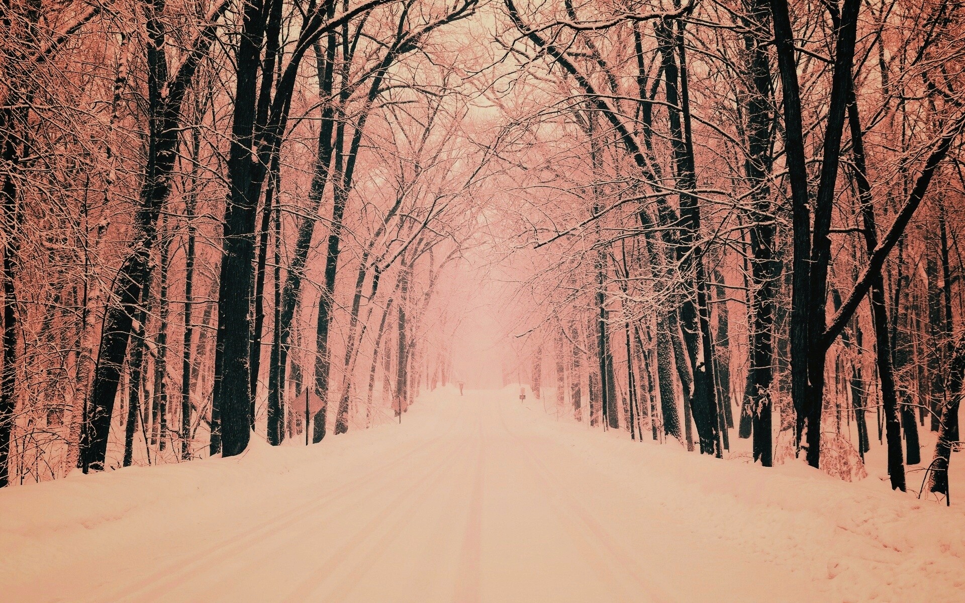 Дорога зимой в парке обои