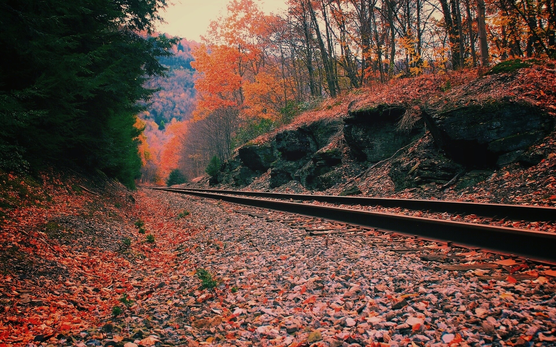 Железная дорога в скалистой местности обои
