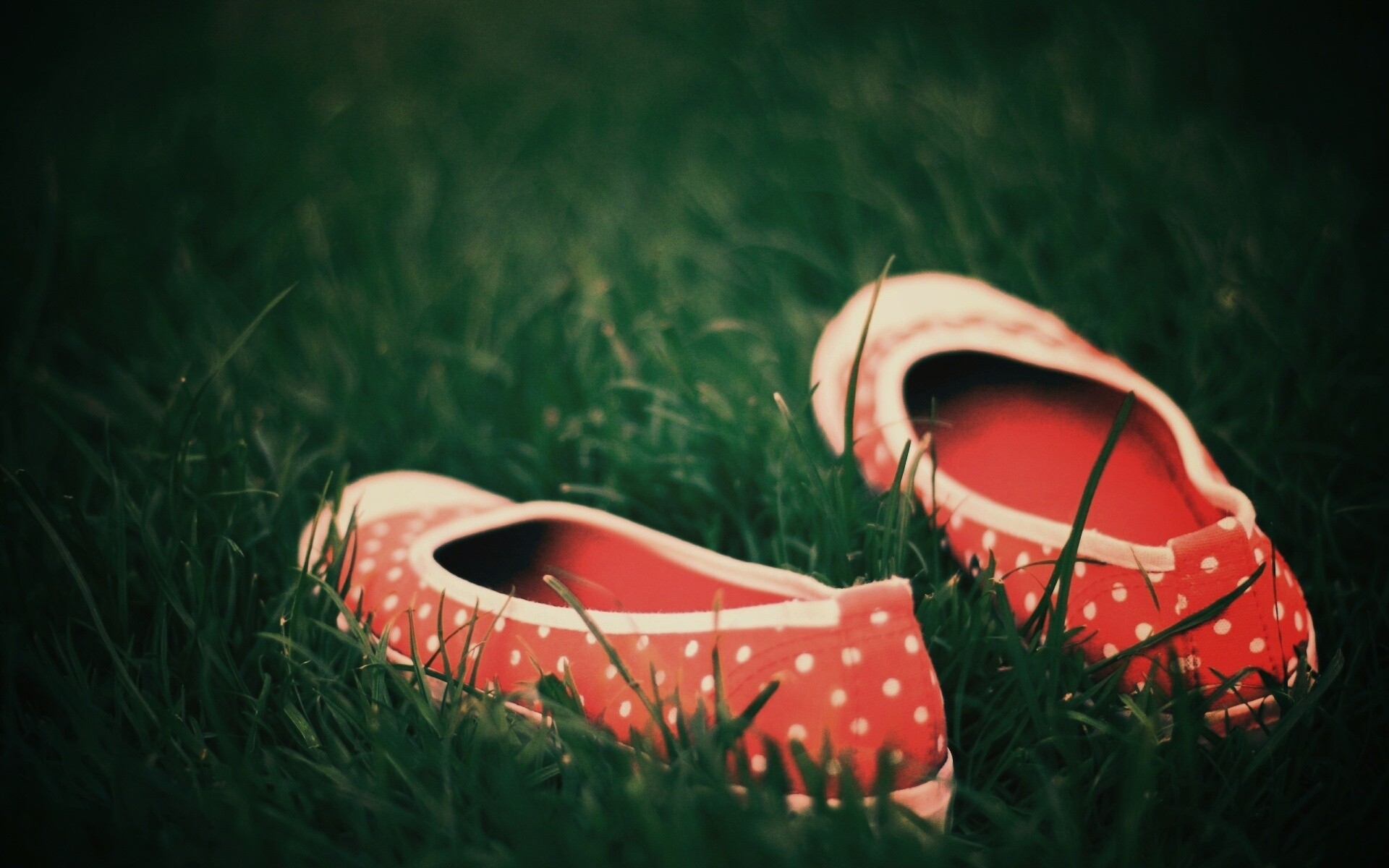 Красные тапки в горошек обои