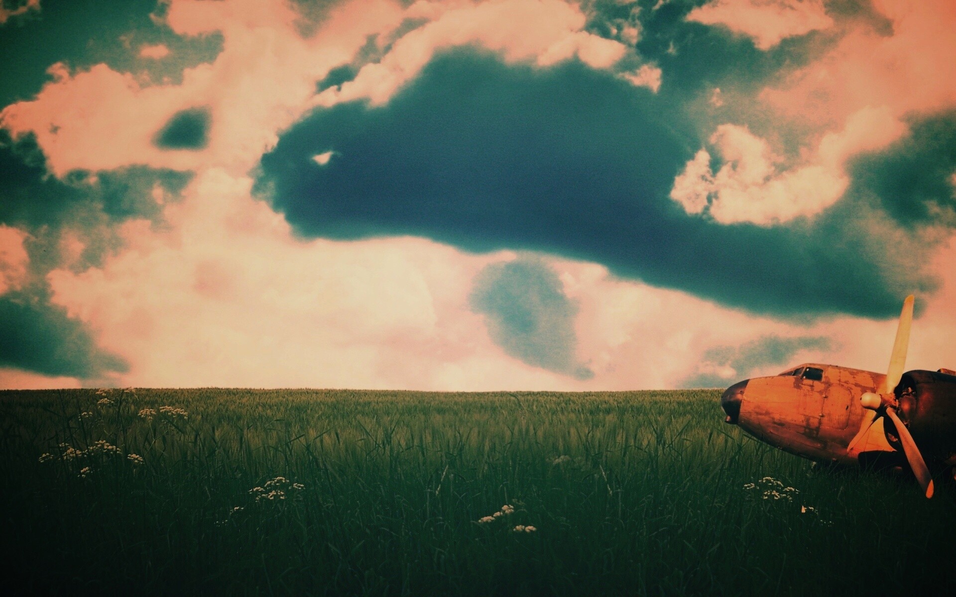 Старый ржавый самолет на лугу обои