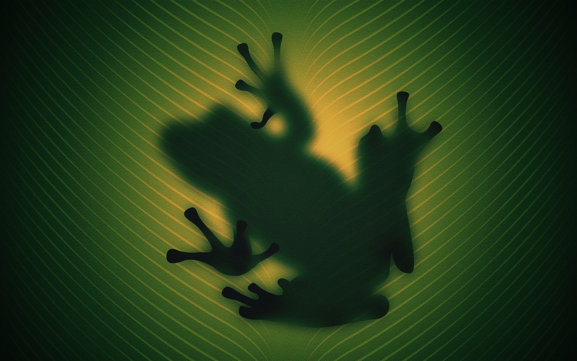 Силуэт лягушки просвечивает сквозь зеленый лист обои