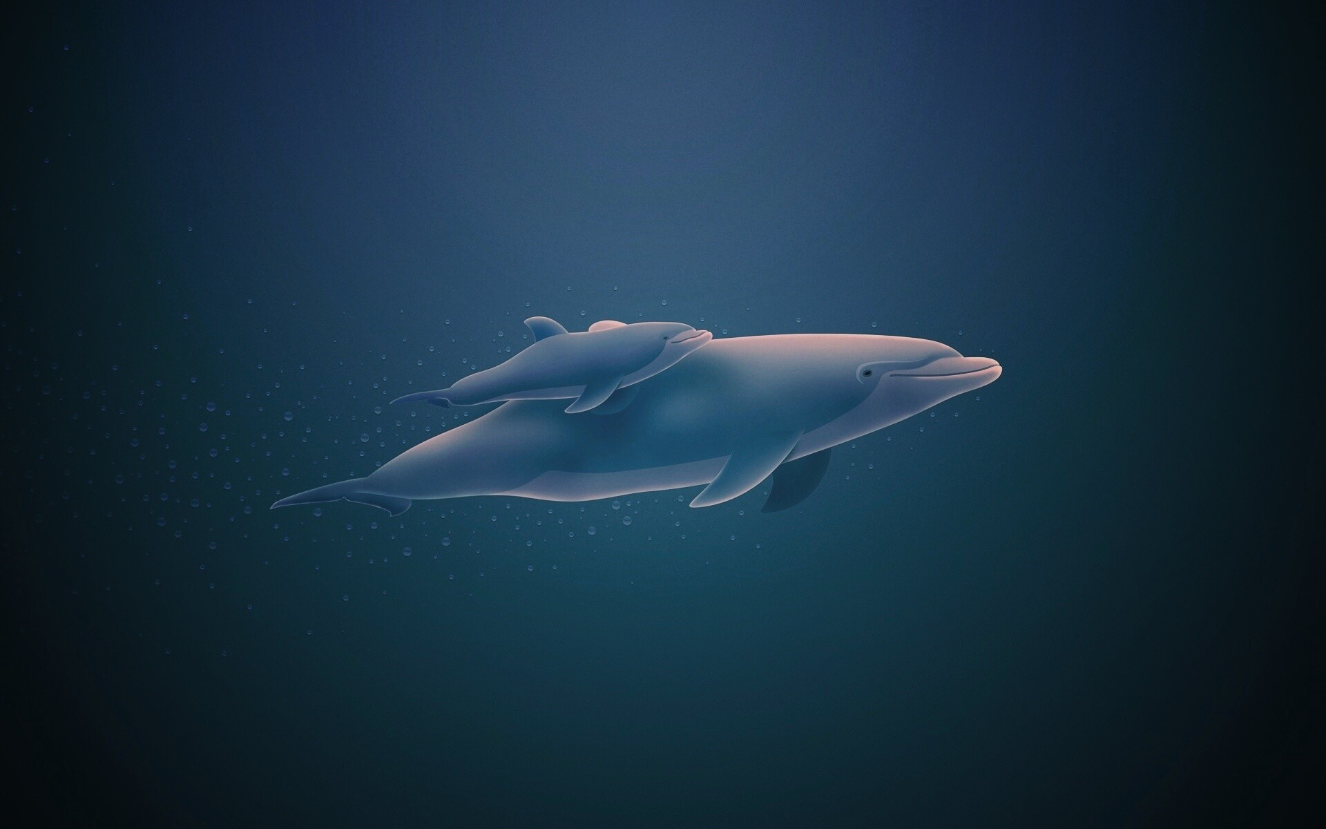 Дельфин и дельфиненок обои