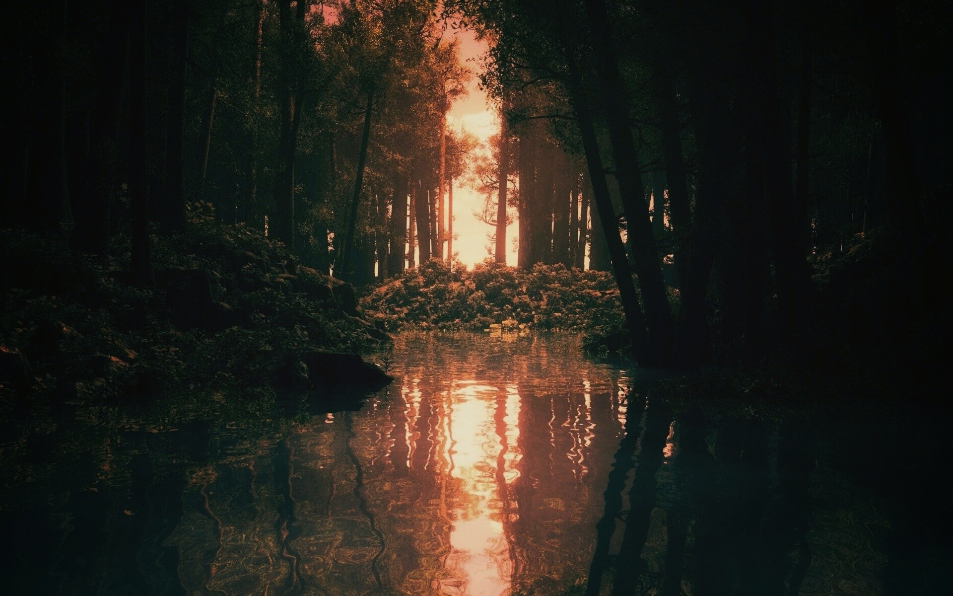 Болото в лесу обои