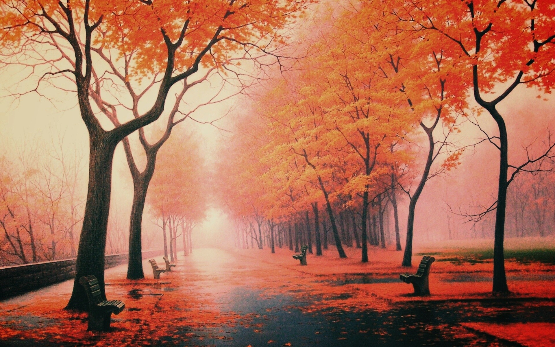 Дорога в осень обои