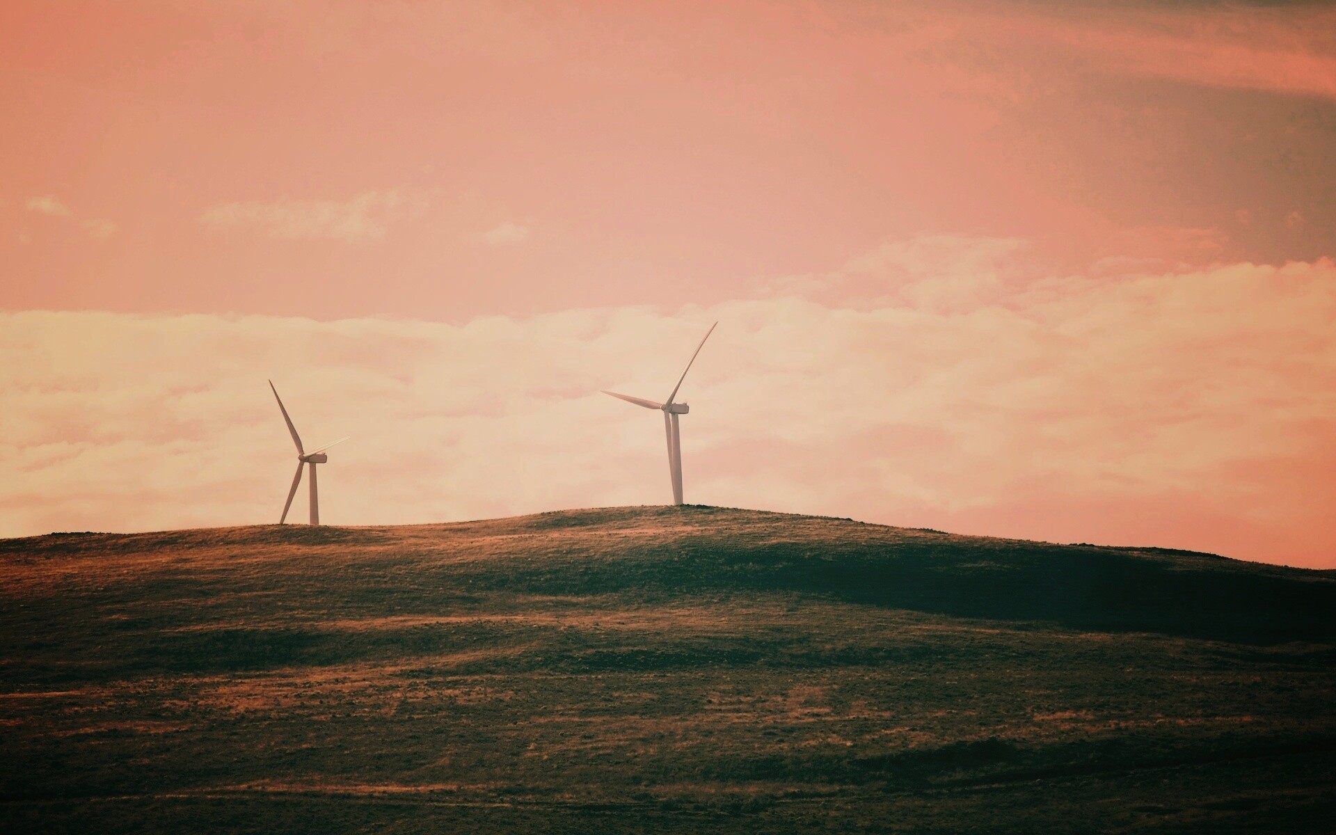 Ветряки в поле обои