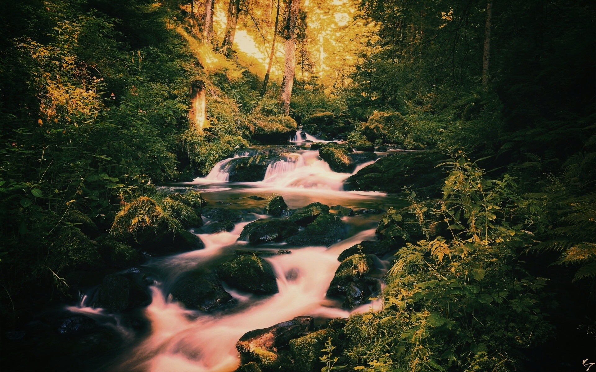 Живописный лесной водопад обои