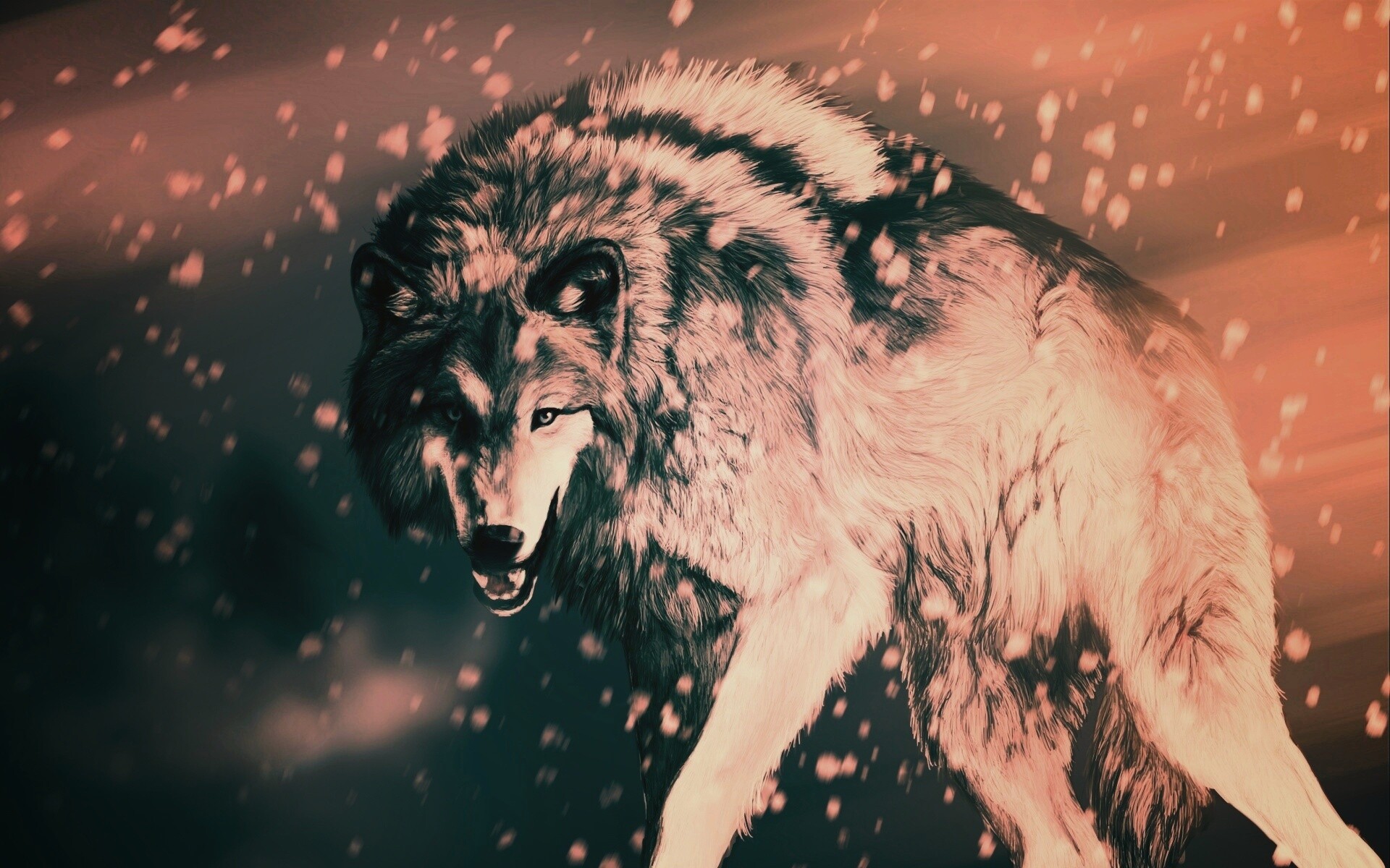 Охота на волка обои