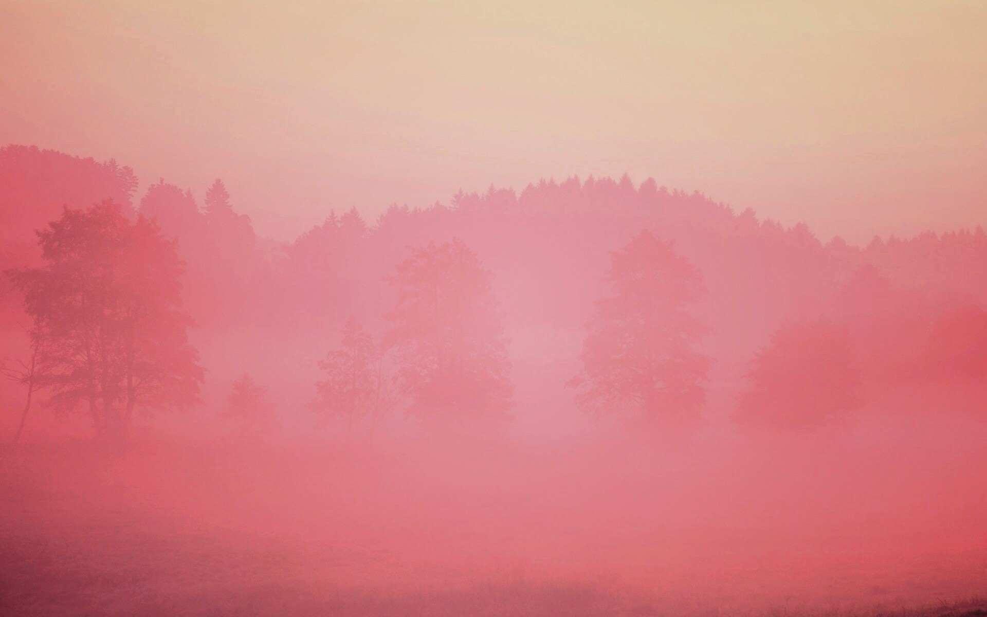 Розовый лес обои