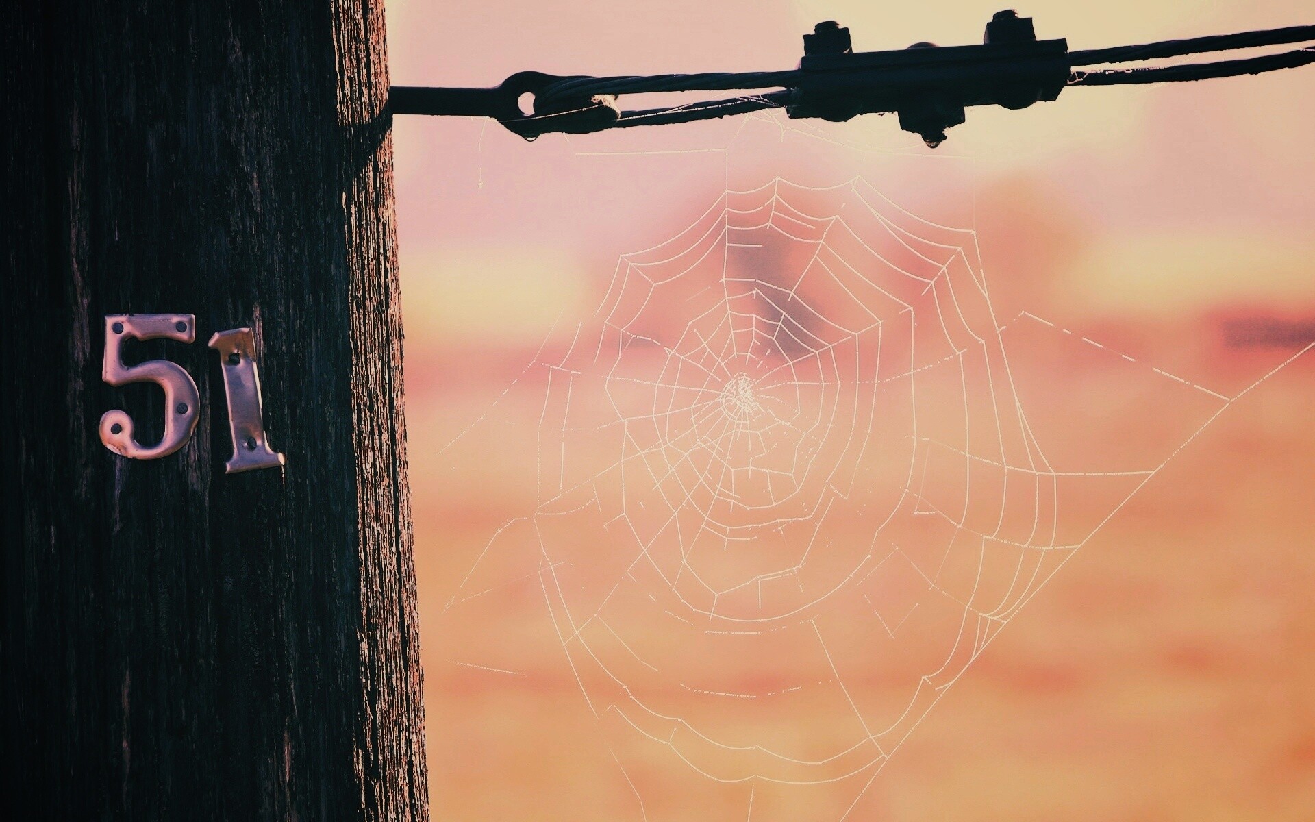 Паутина 51 обои