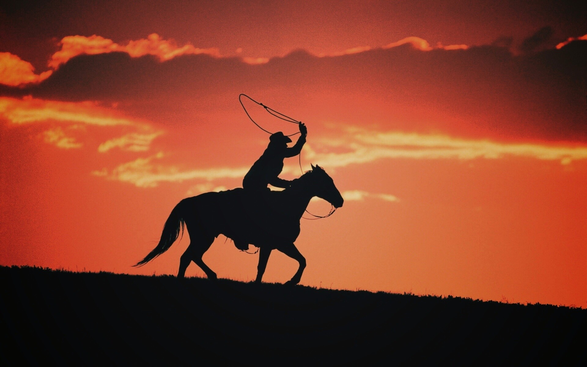 Силуэт ковбоя на закате обои