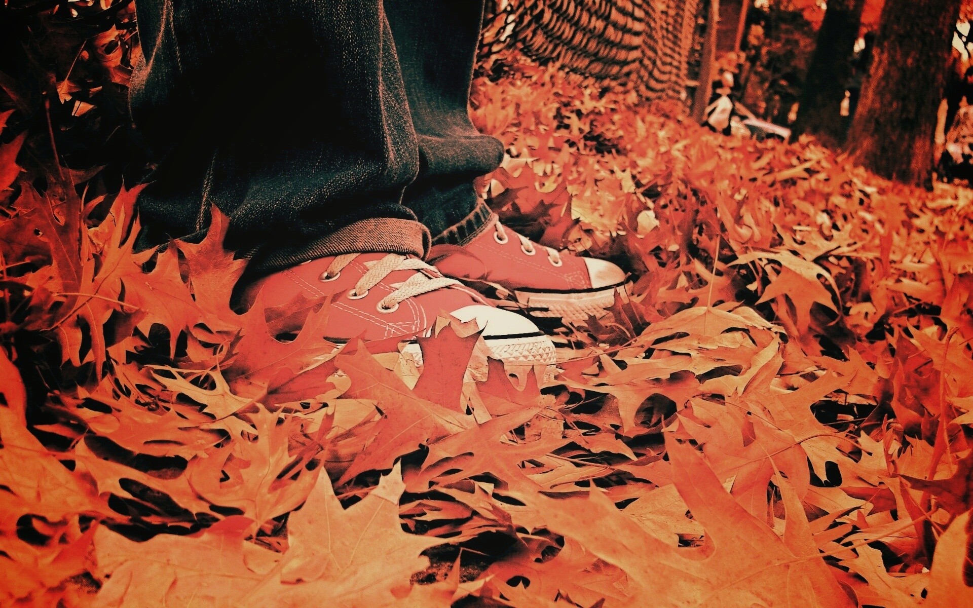 Оранжевые кеды обои