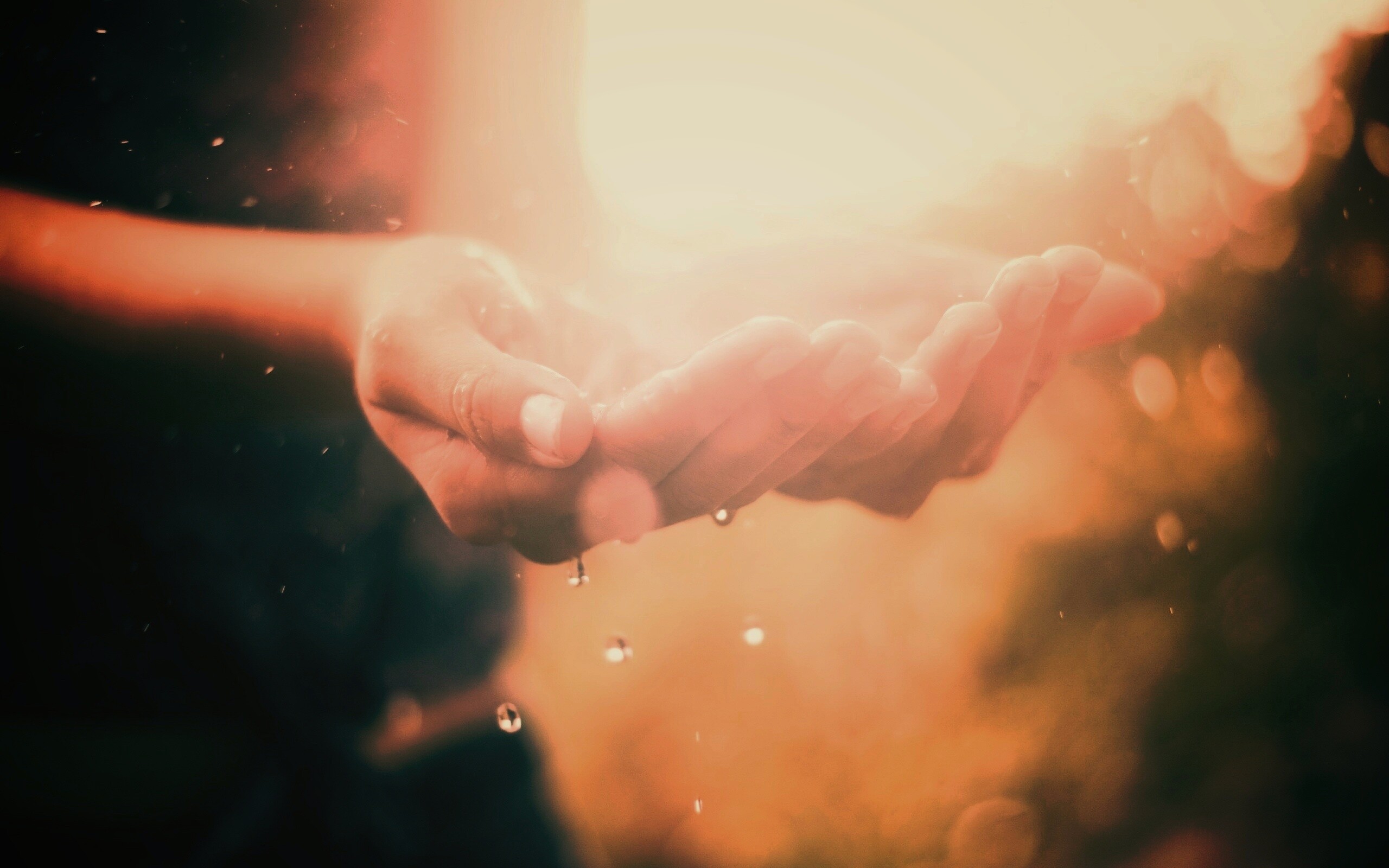 Дождь в ладонях обои