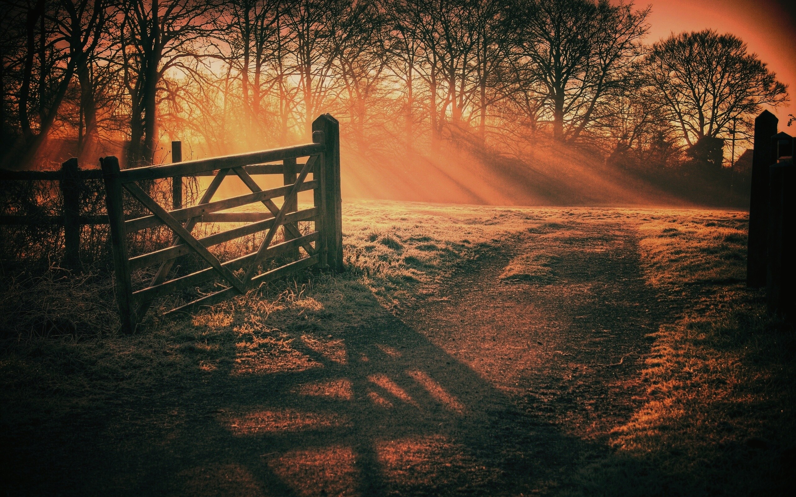 Открытые ворота обои