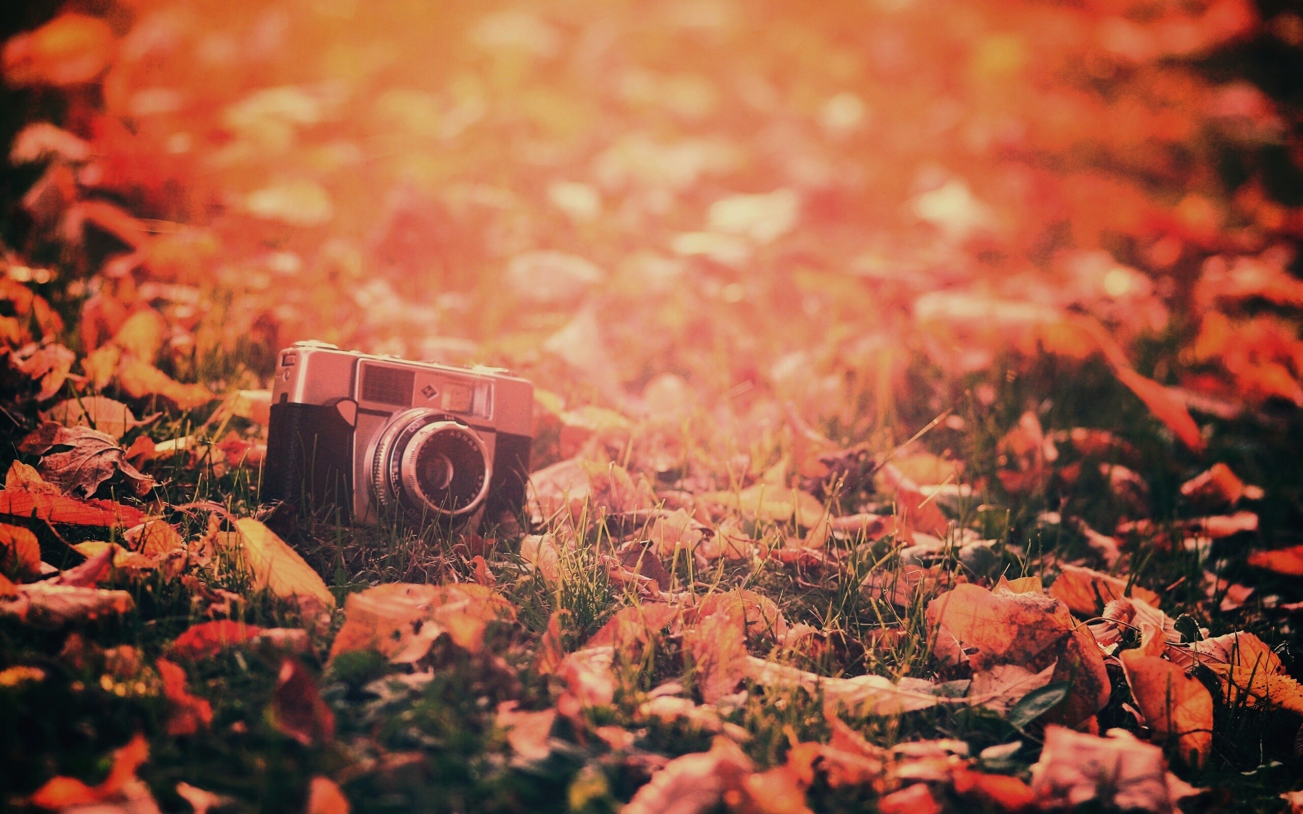 Старый фотоаппарат в траве обои