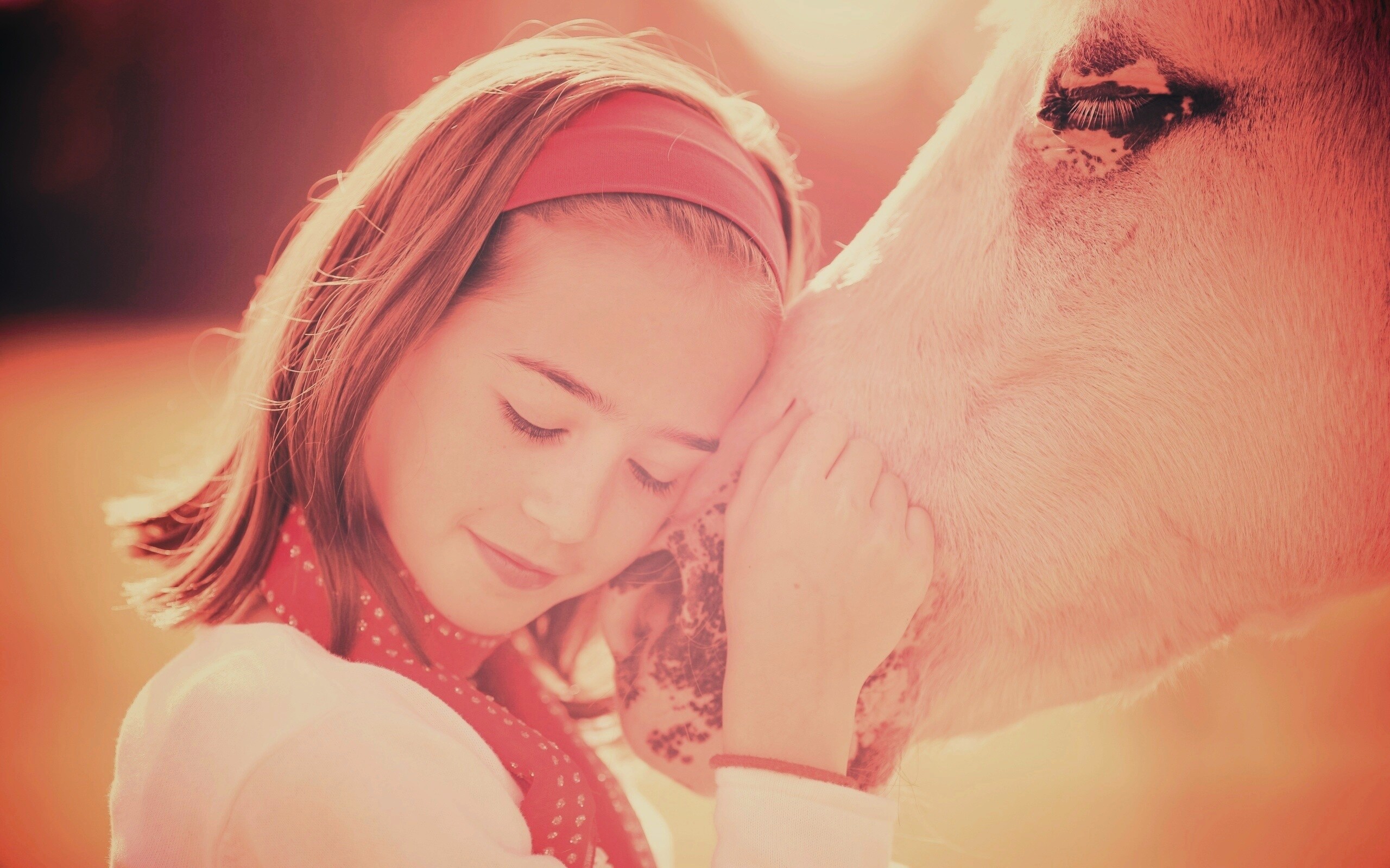 Девочка и лошадь обои