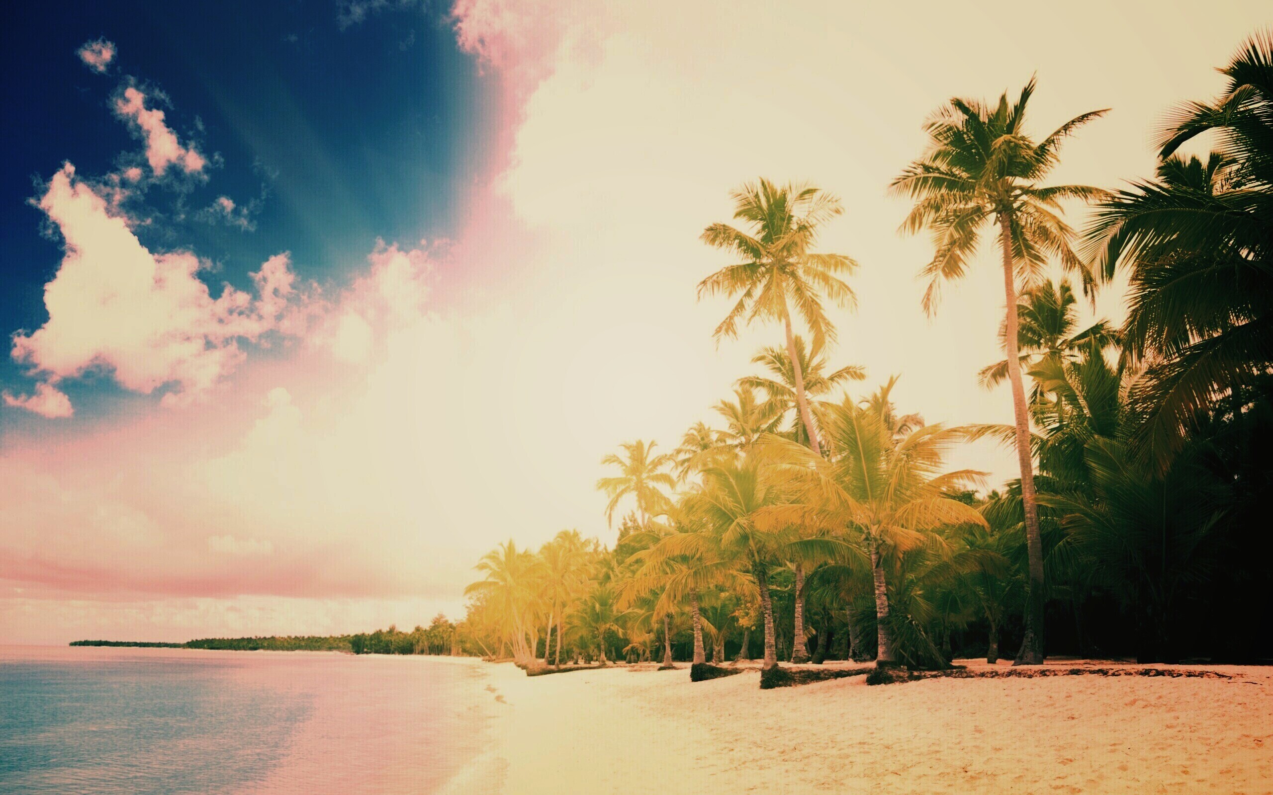 Тропическое побережье обои