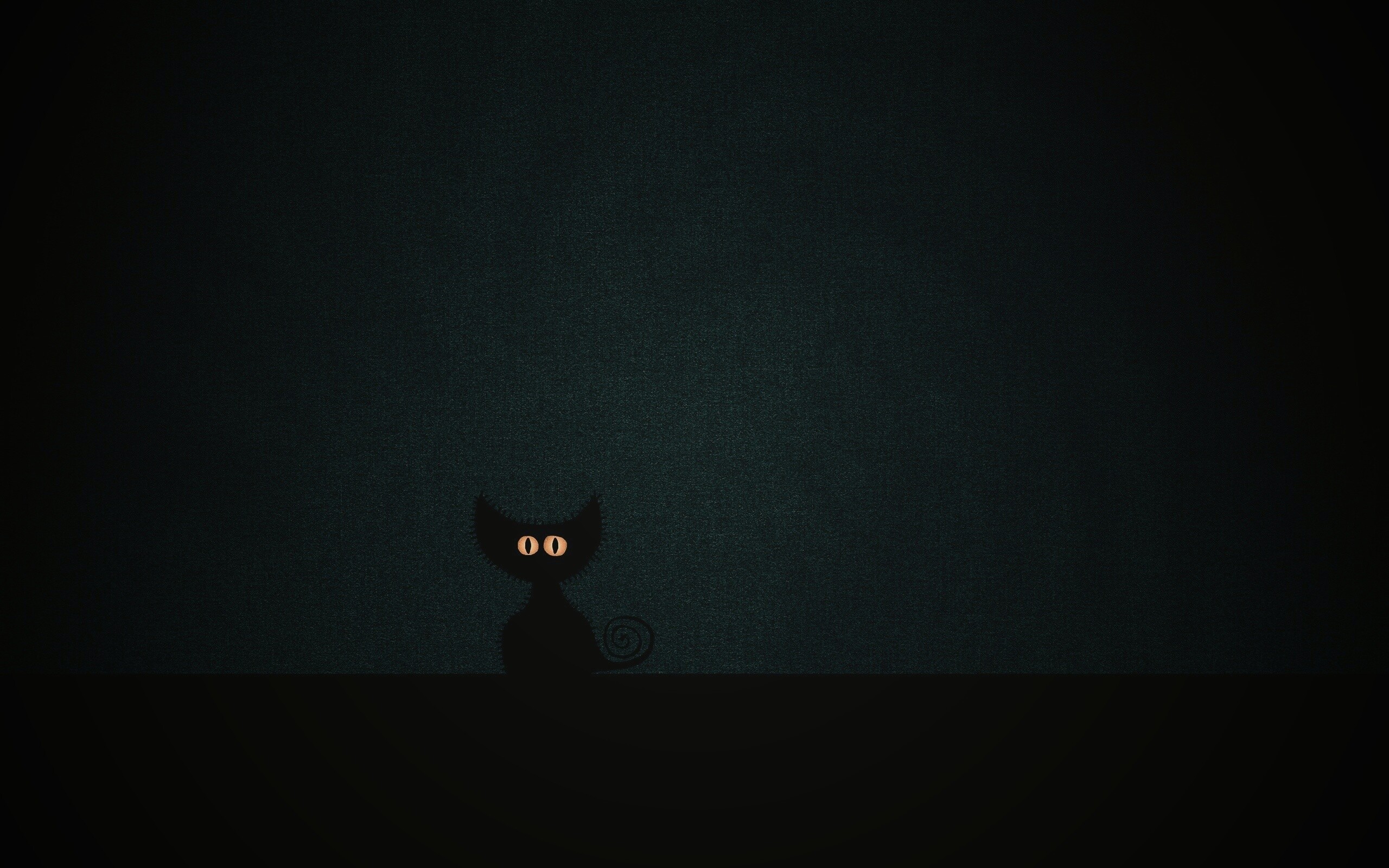 Чёрный кот в ночи обои