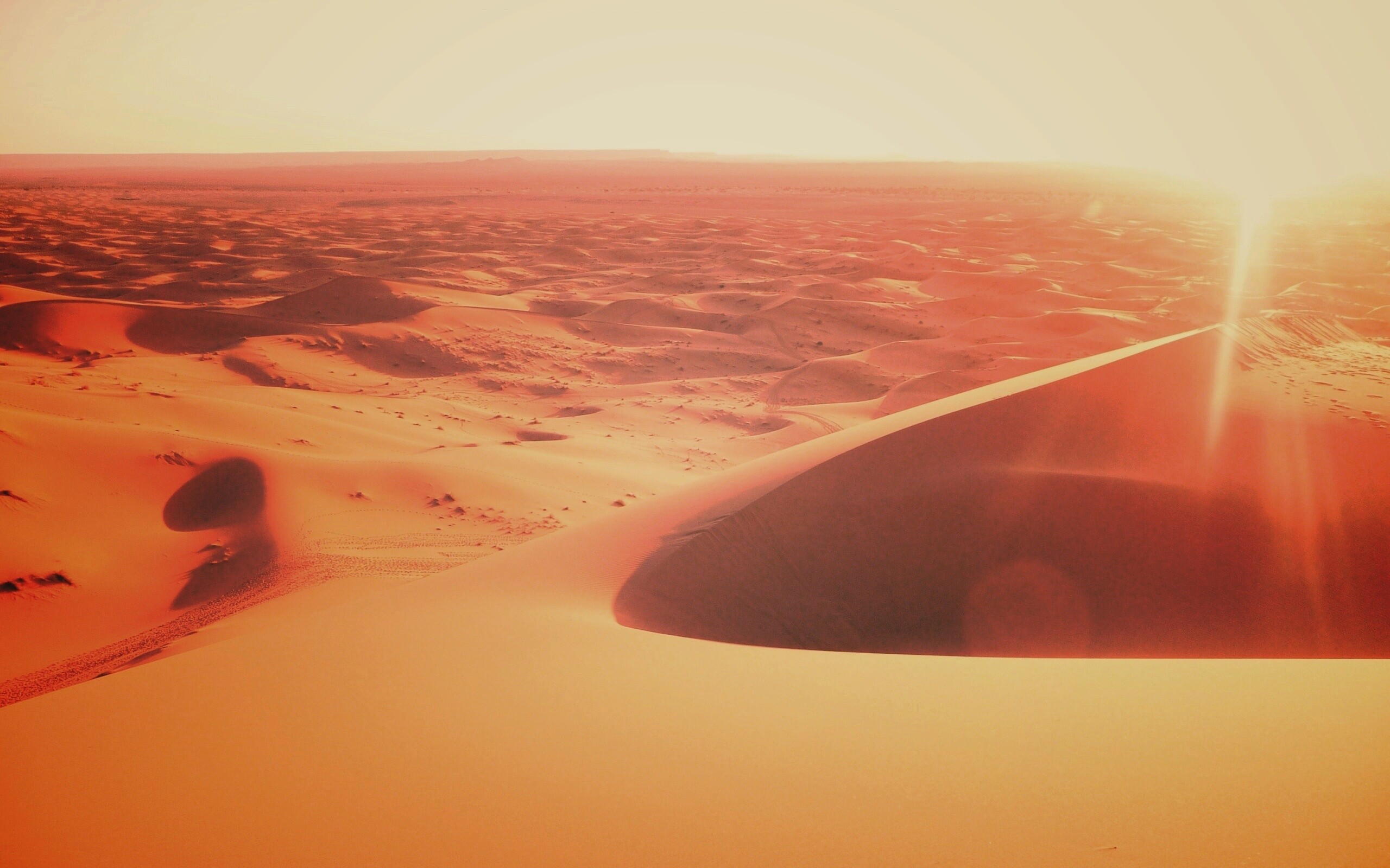 Солнечная пустыня обои