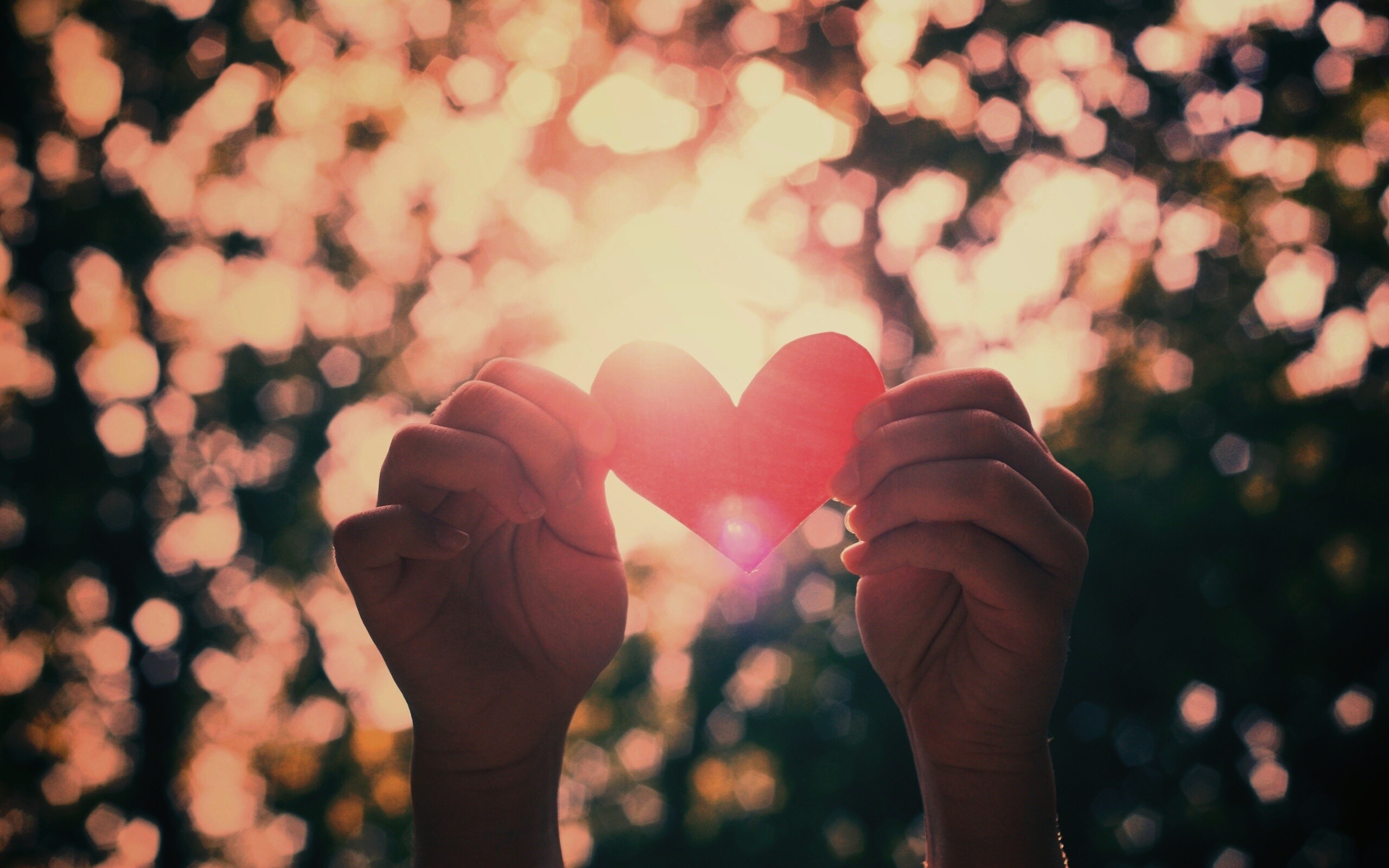 Бумажное красное сердце обои