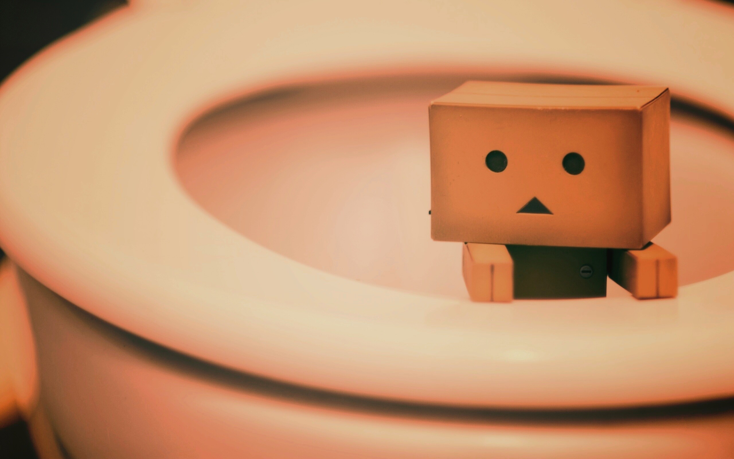 Danbo в унитазе обои