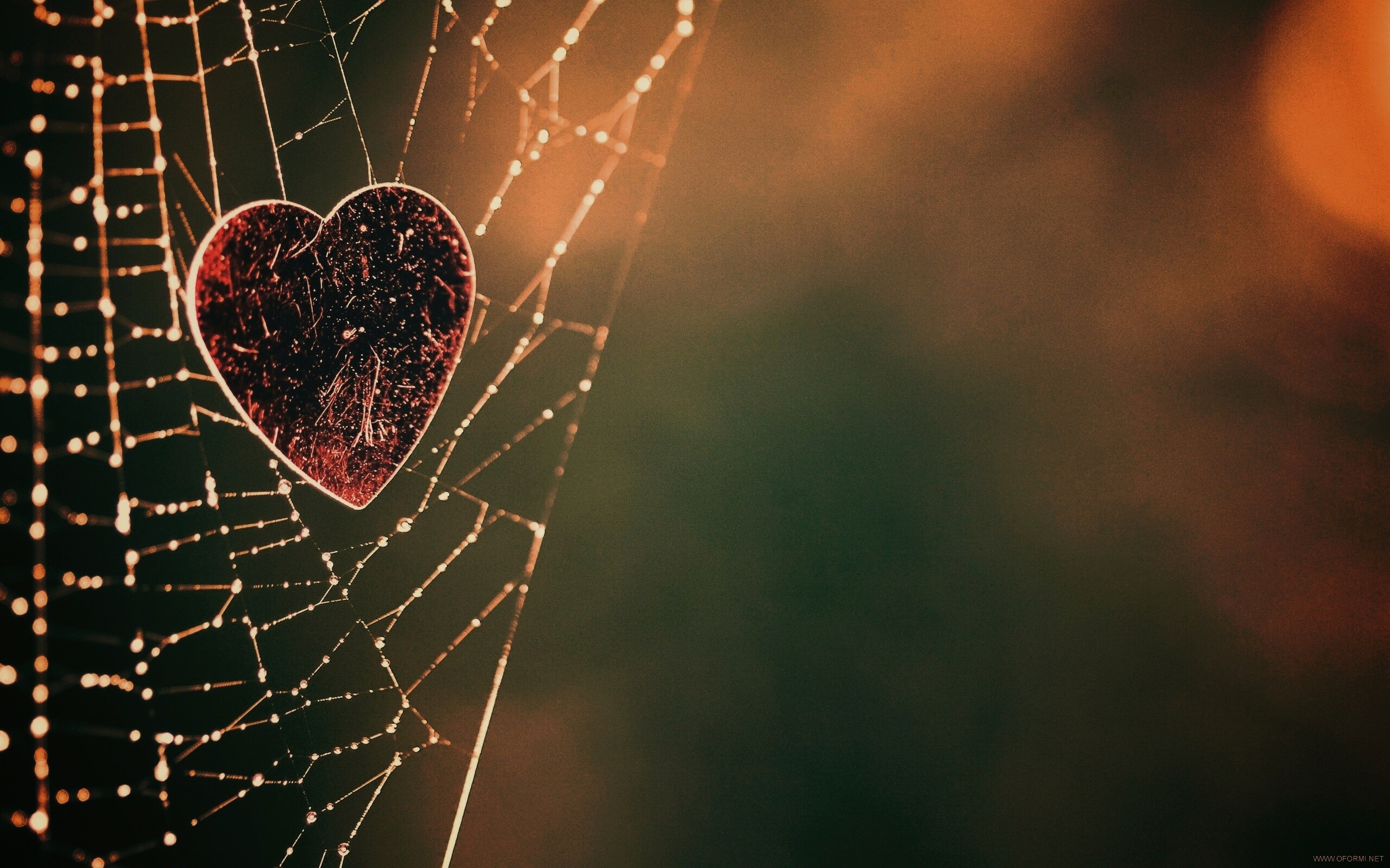 Запутавшаяся любовь.. обои