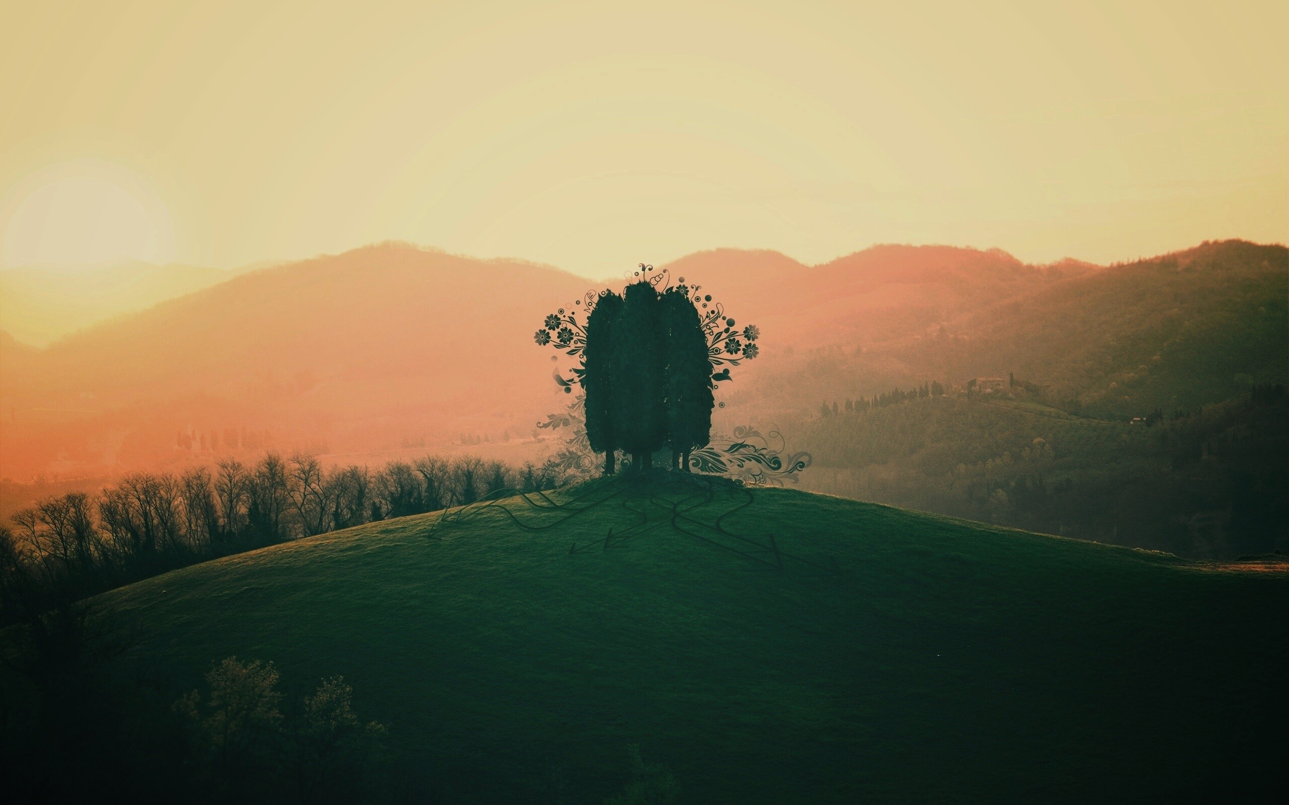 Деревья на холме обои