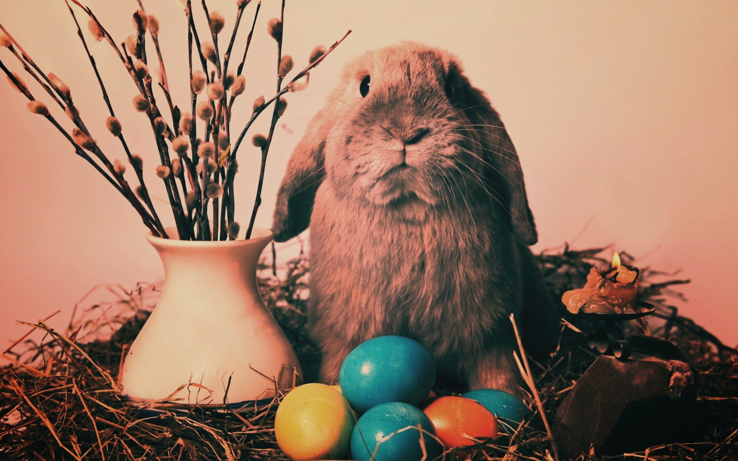 Пасхальный кролик обои