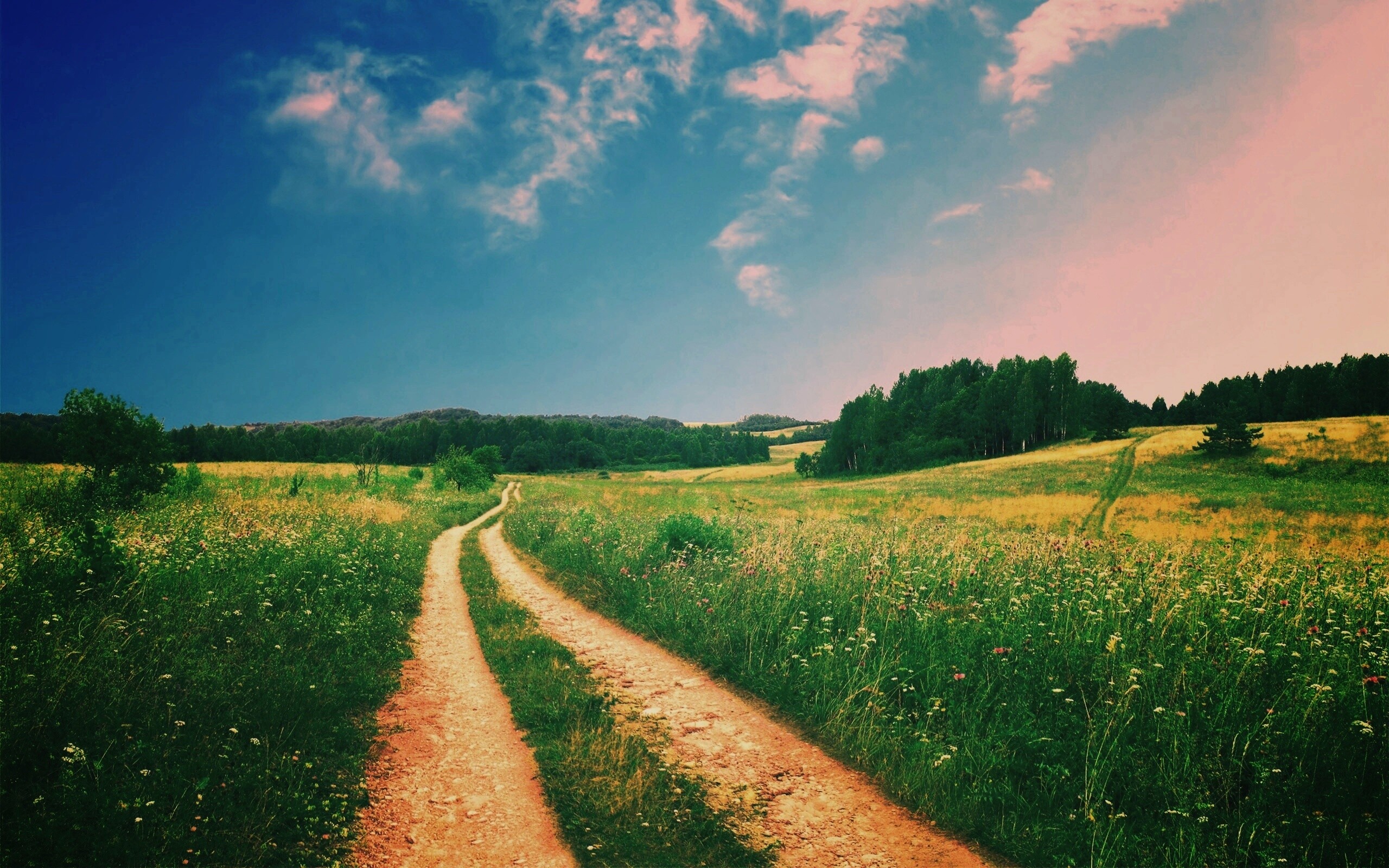 Дорога через луг обои