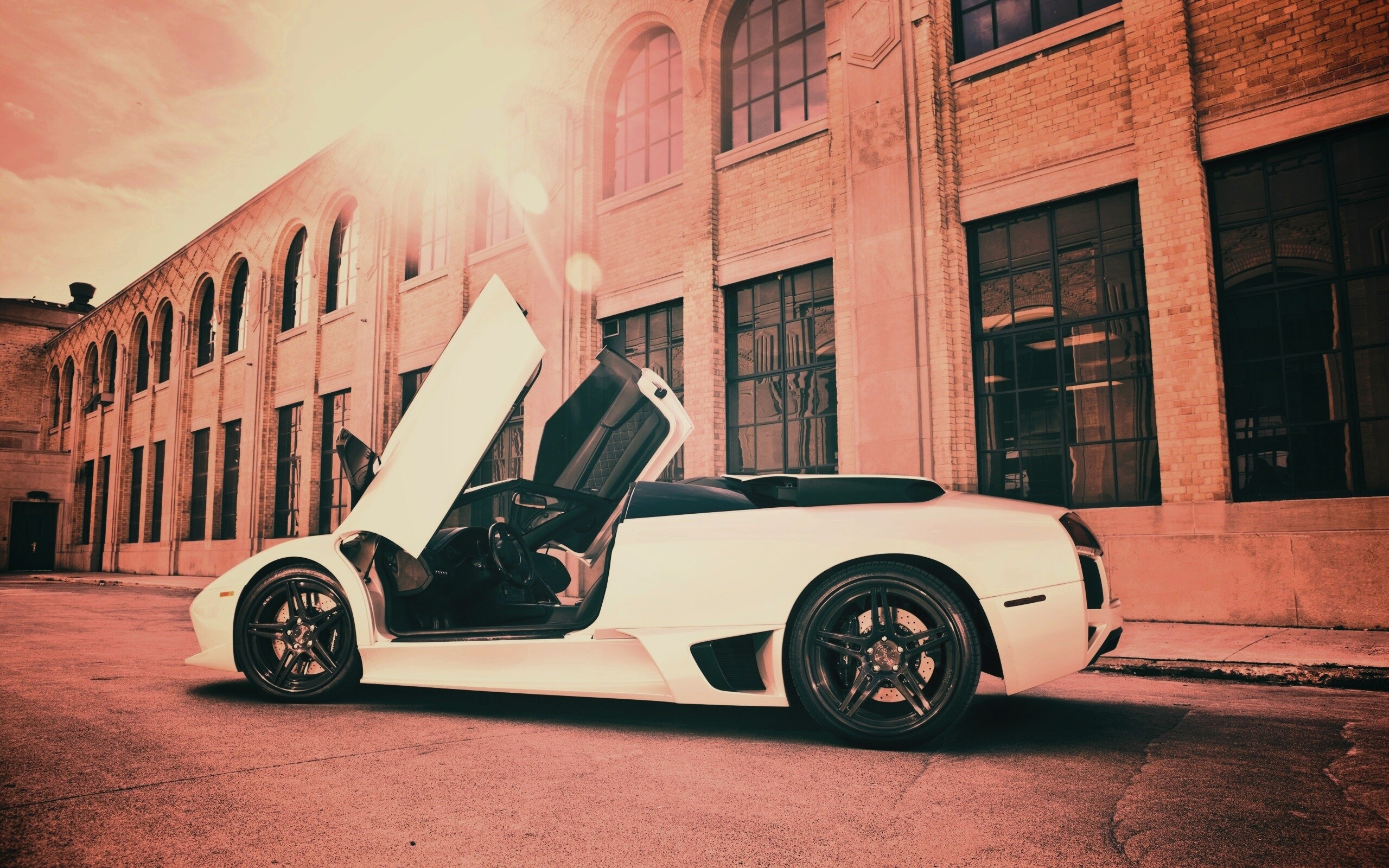 Белая Ламборгини Мурсьелаго обои