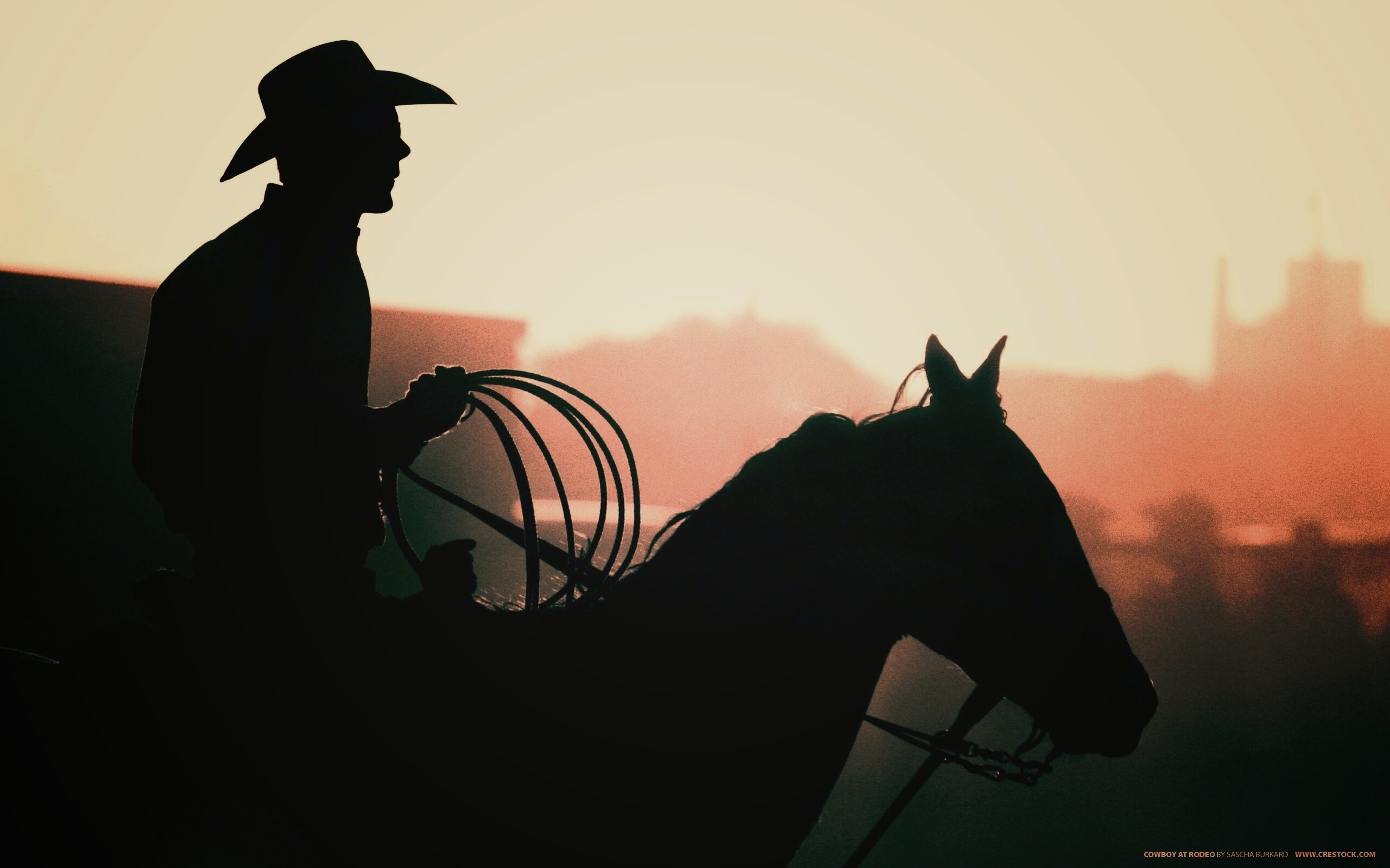 Ковбой с лассо на коне обои