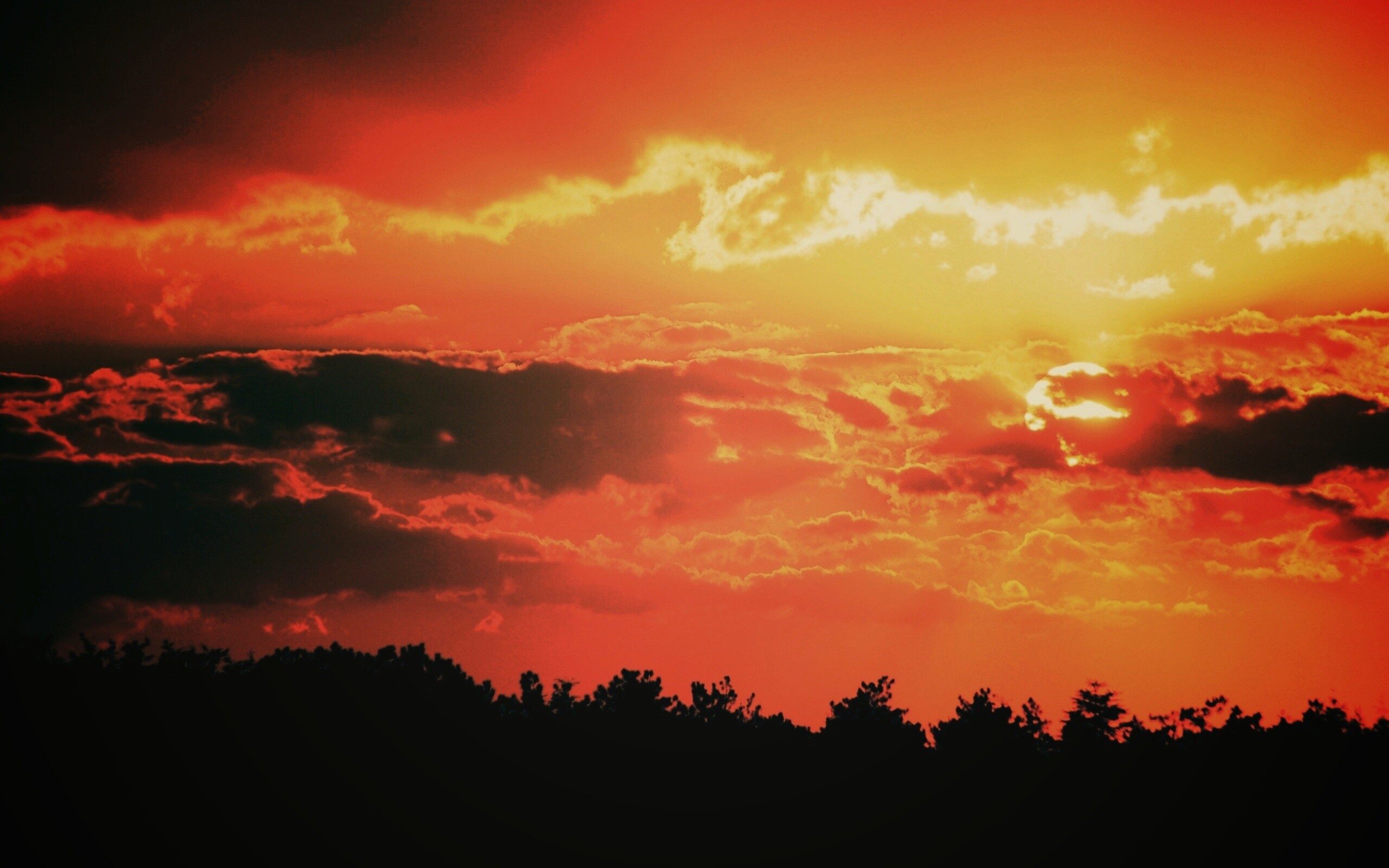 Ярко-оранжевое закатное небо обои