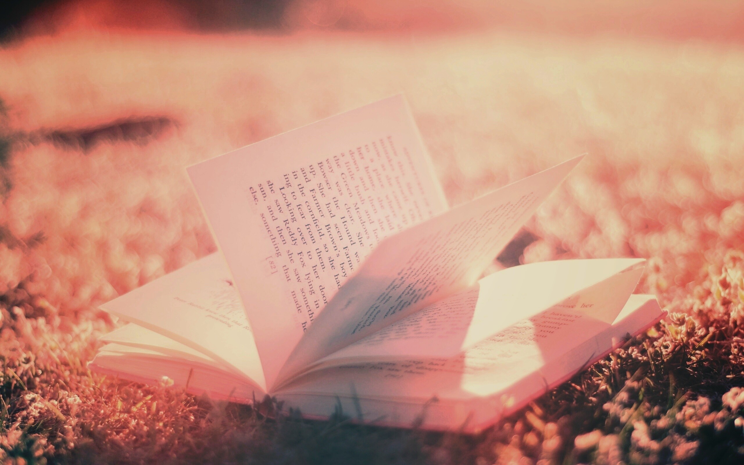 Книга в нежном свете обои