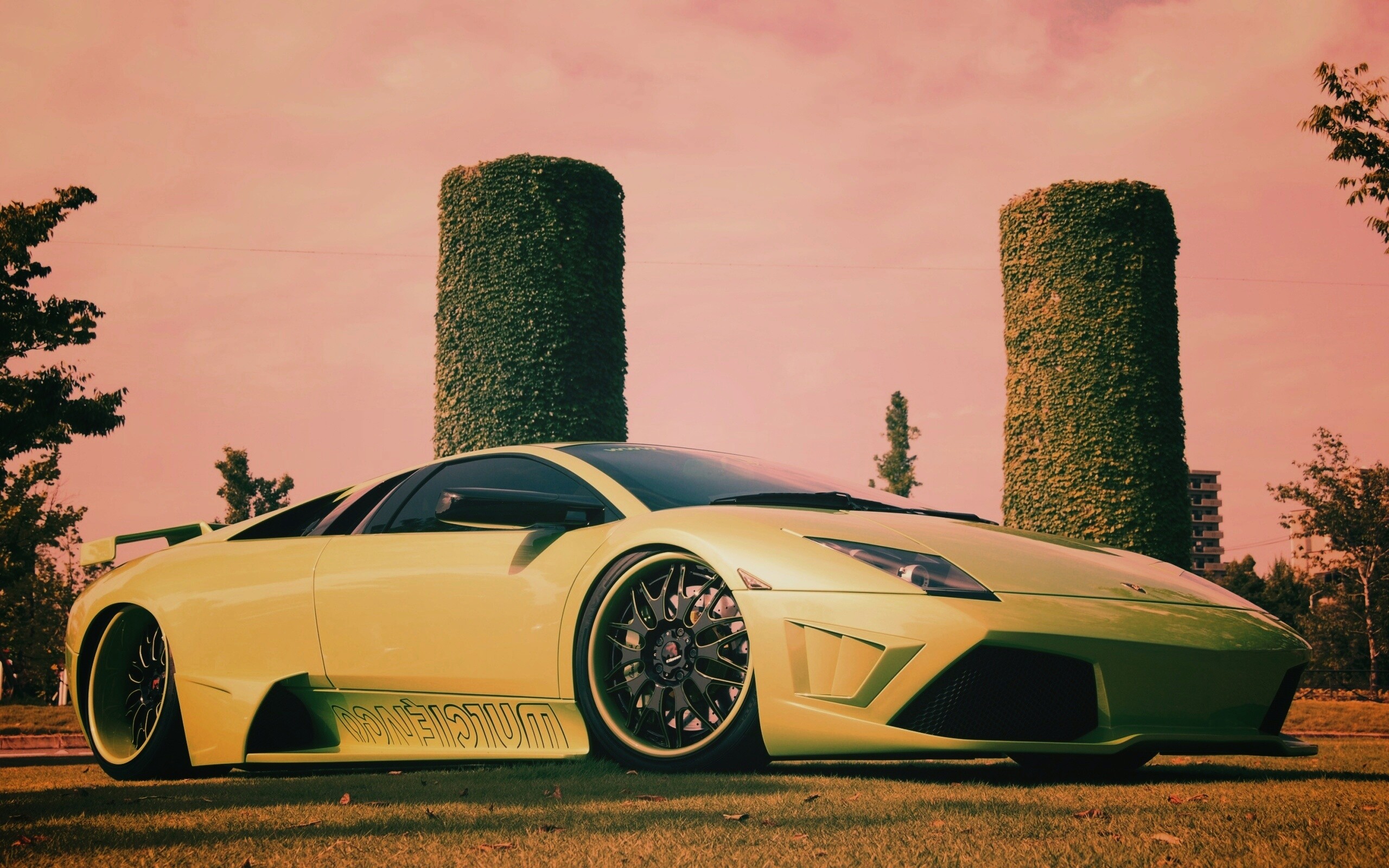 Зелёный Ламборджини на траве обои