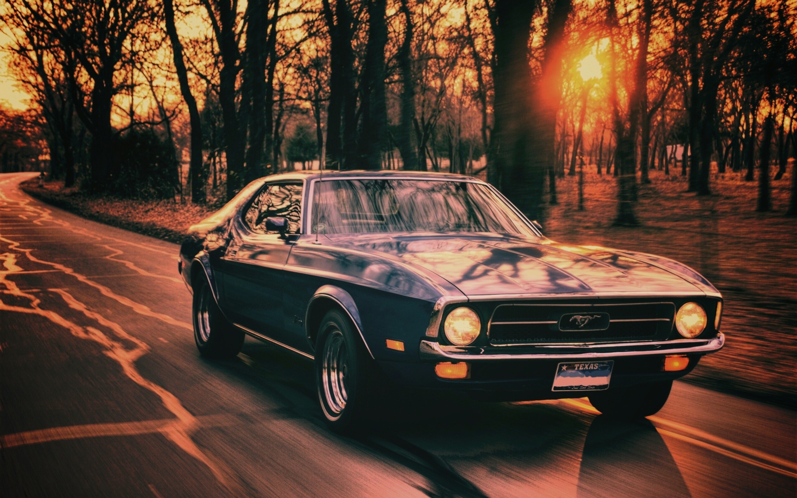 Мустанг обои