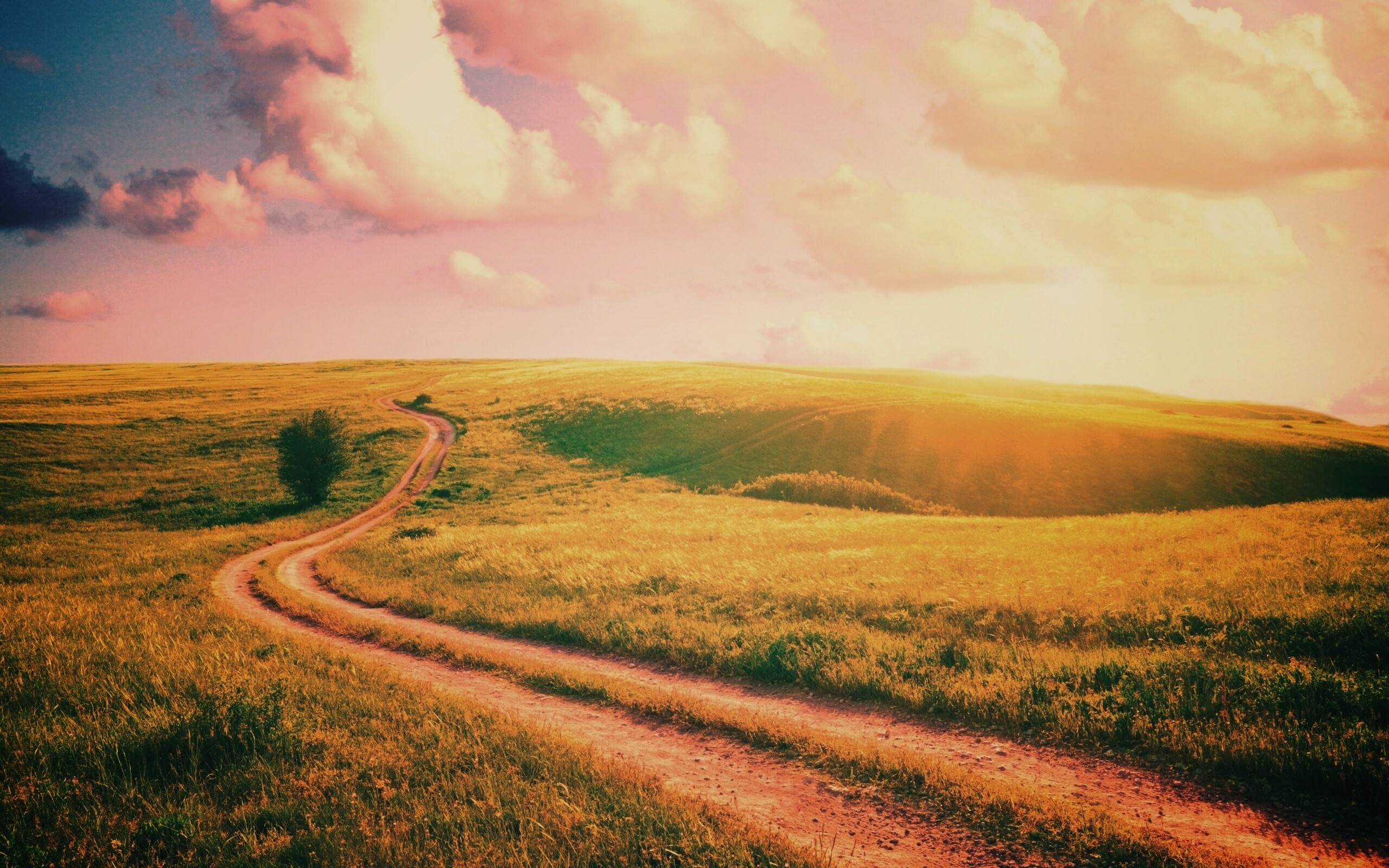 Дорога через луг обои