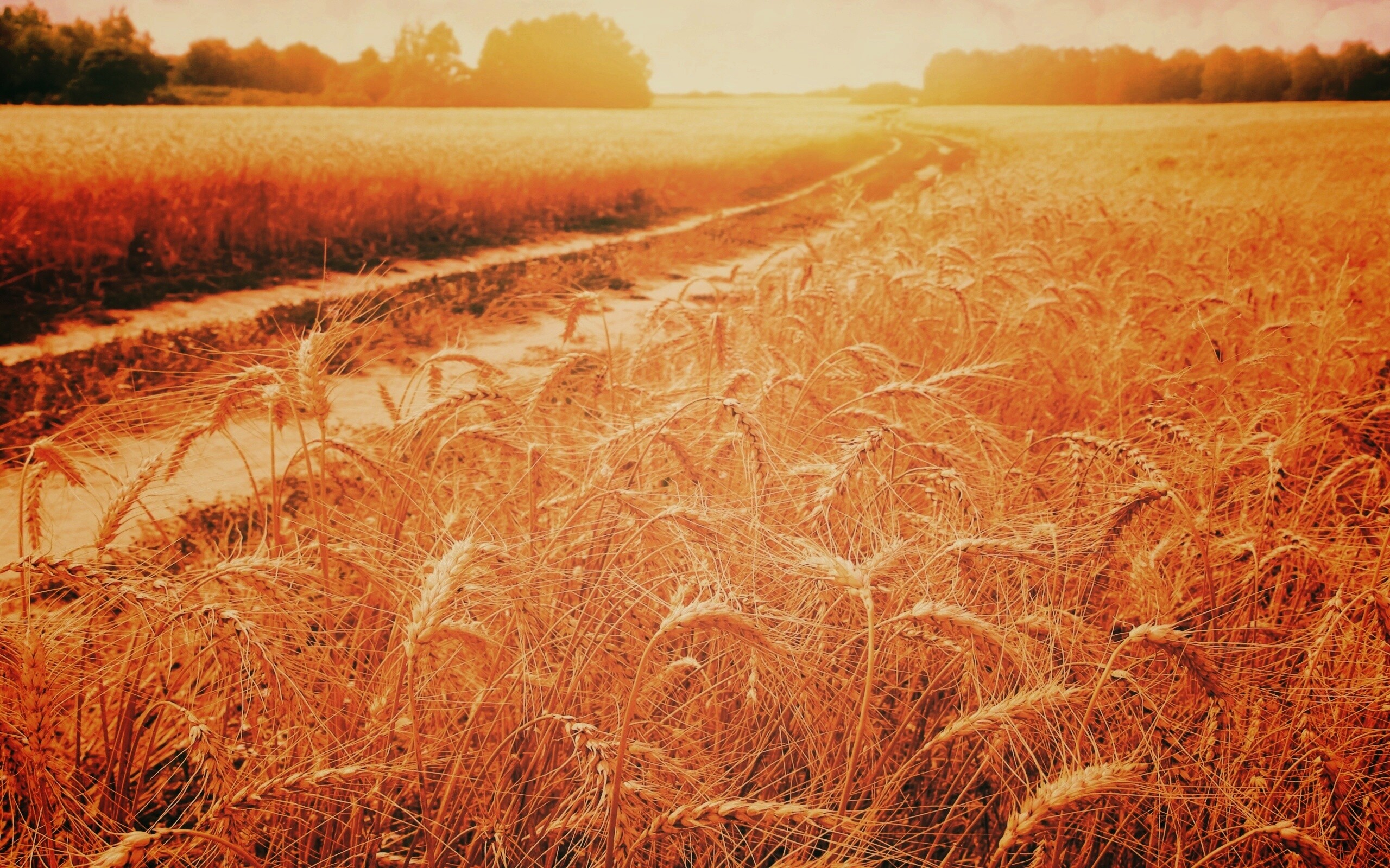 Речка среди поля обои