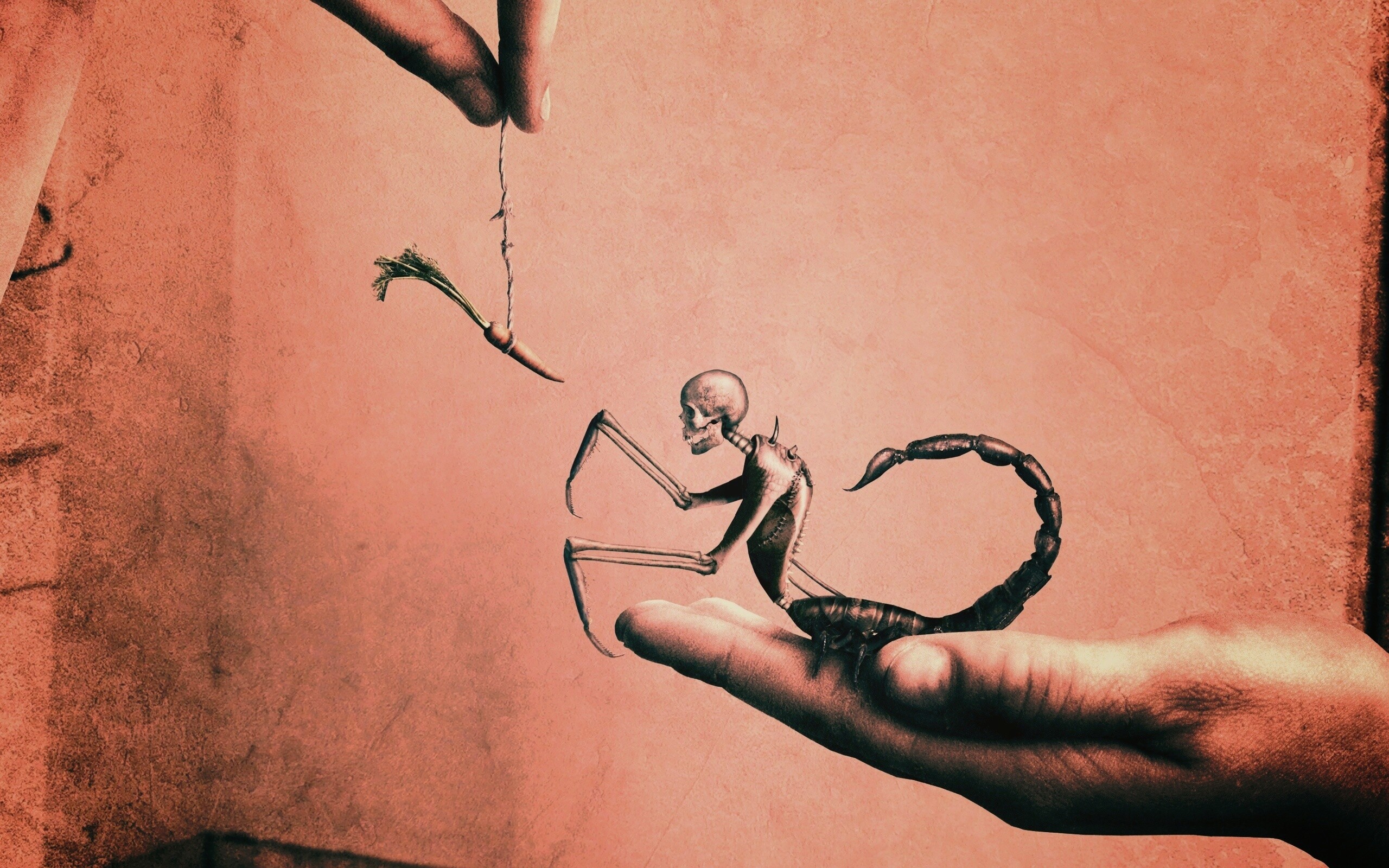 Кормёжка смерти обои