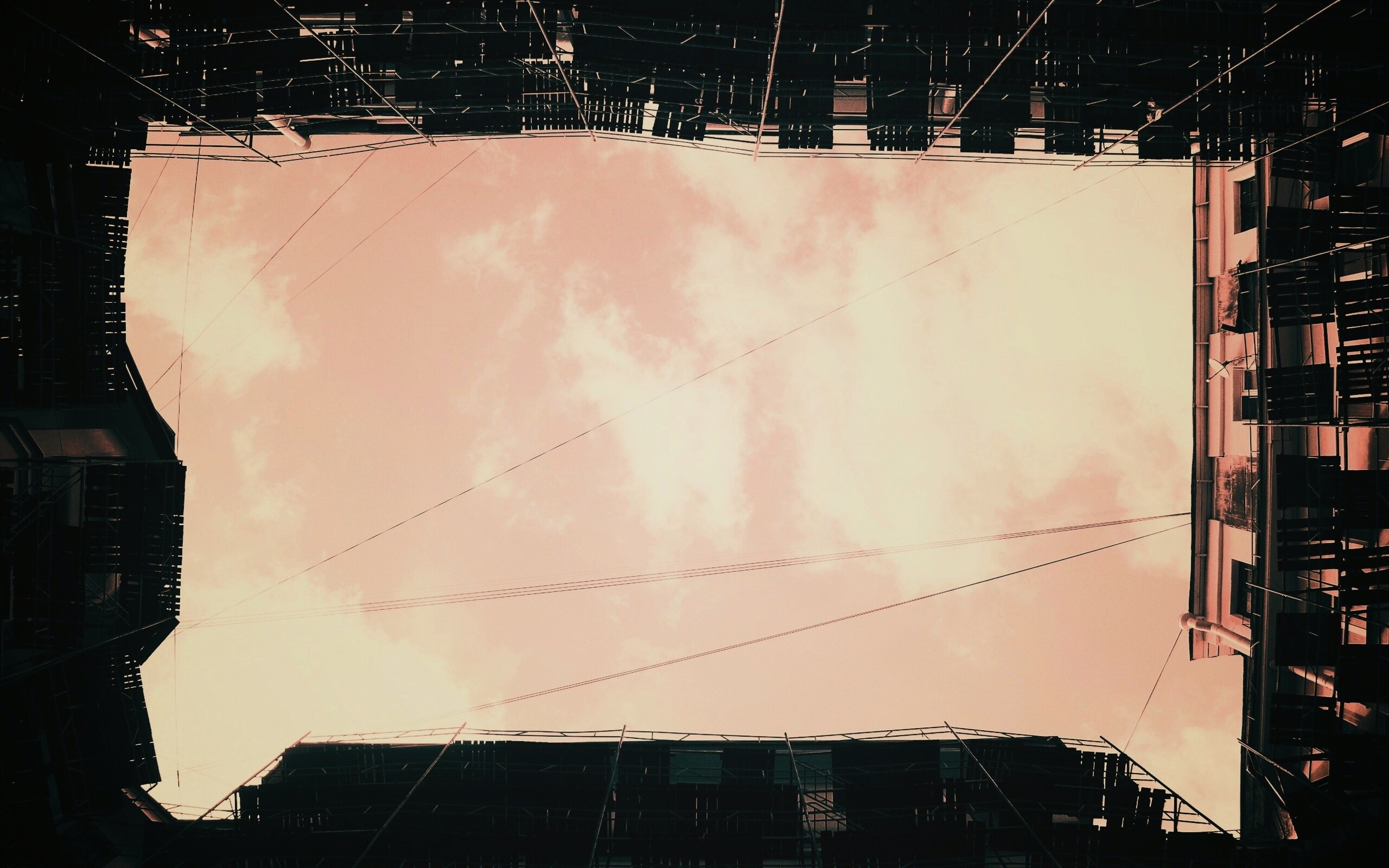 Человеческий муравейник обои