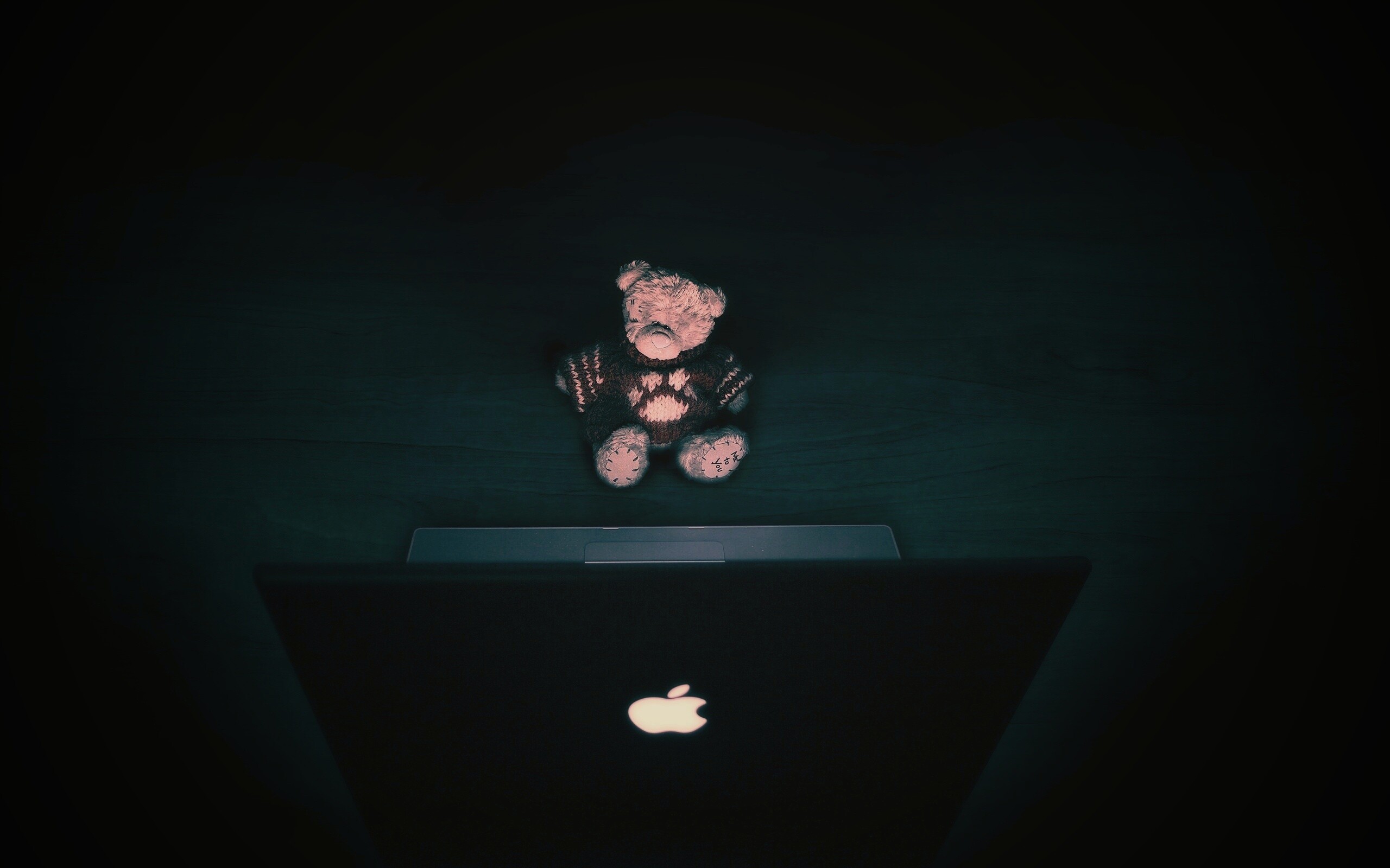 Плюшевый мишка за ноутбуком обои