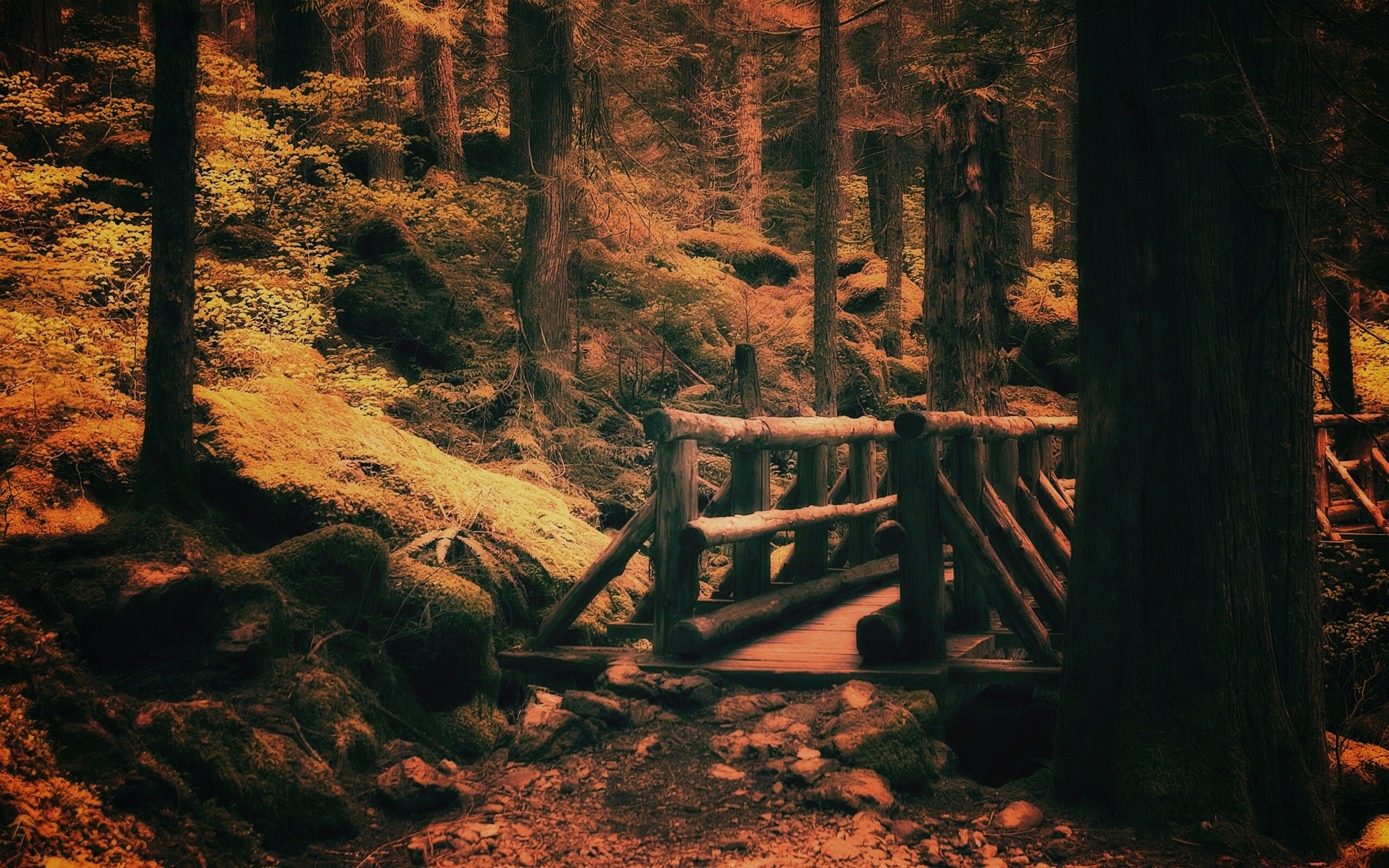 Бревенчатый мост в лесу обои