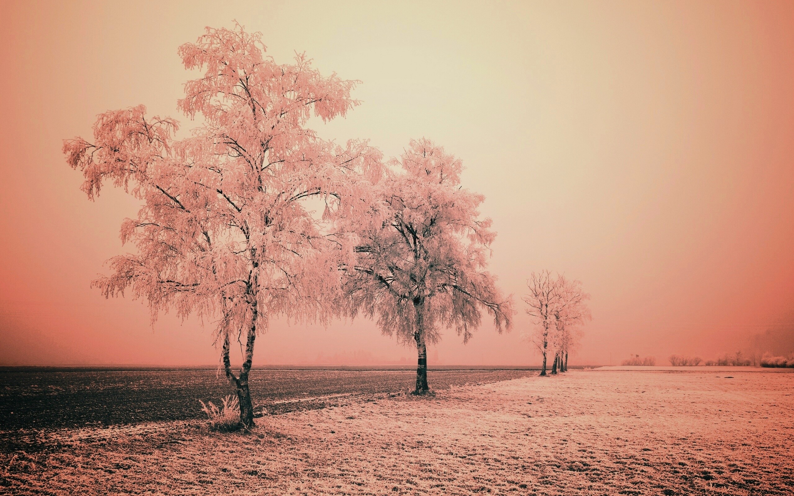 Первый снег обои