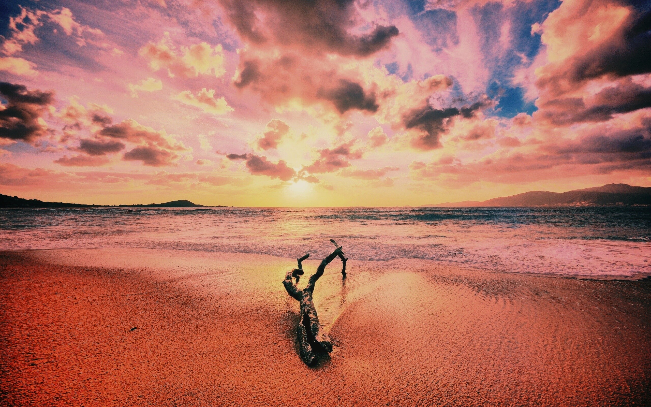 Коряга на пляже обои