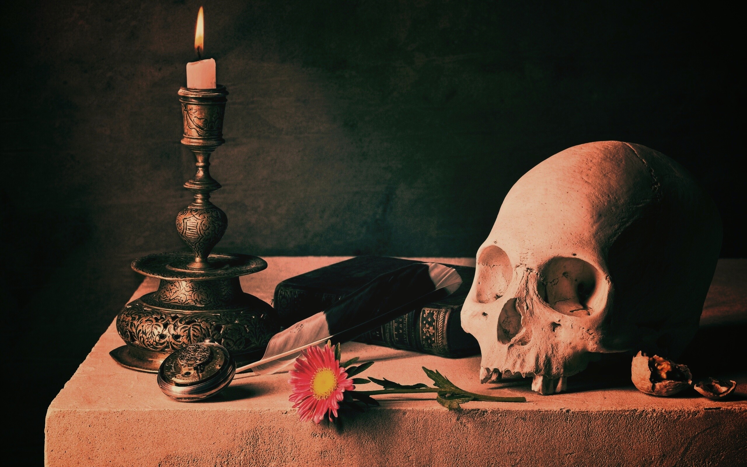 Проблеск в темноте обои