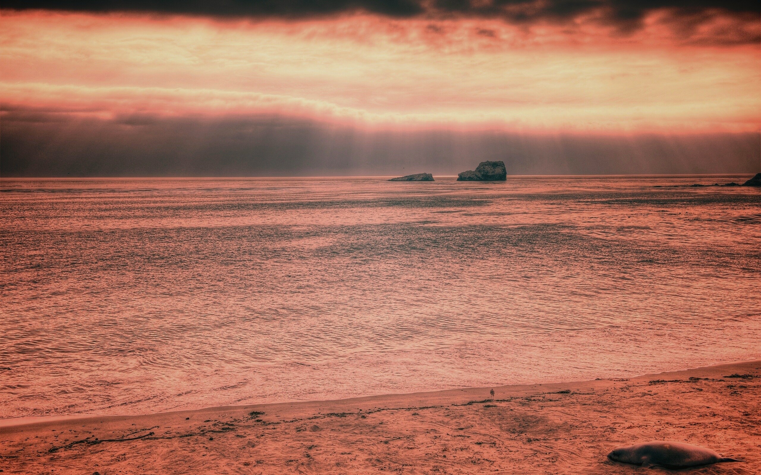 Пляж на фоне светящегосы неба обои