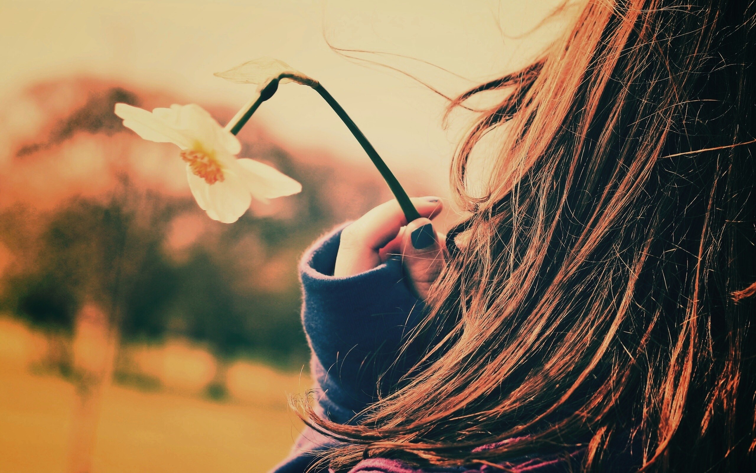 Девушка с нарциссом в руке обои