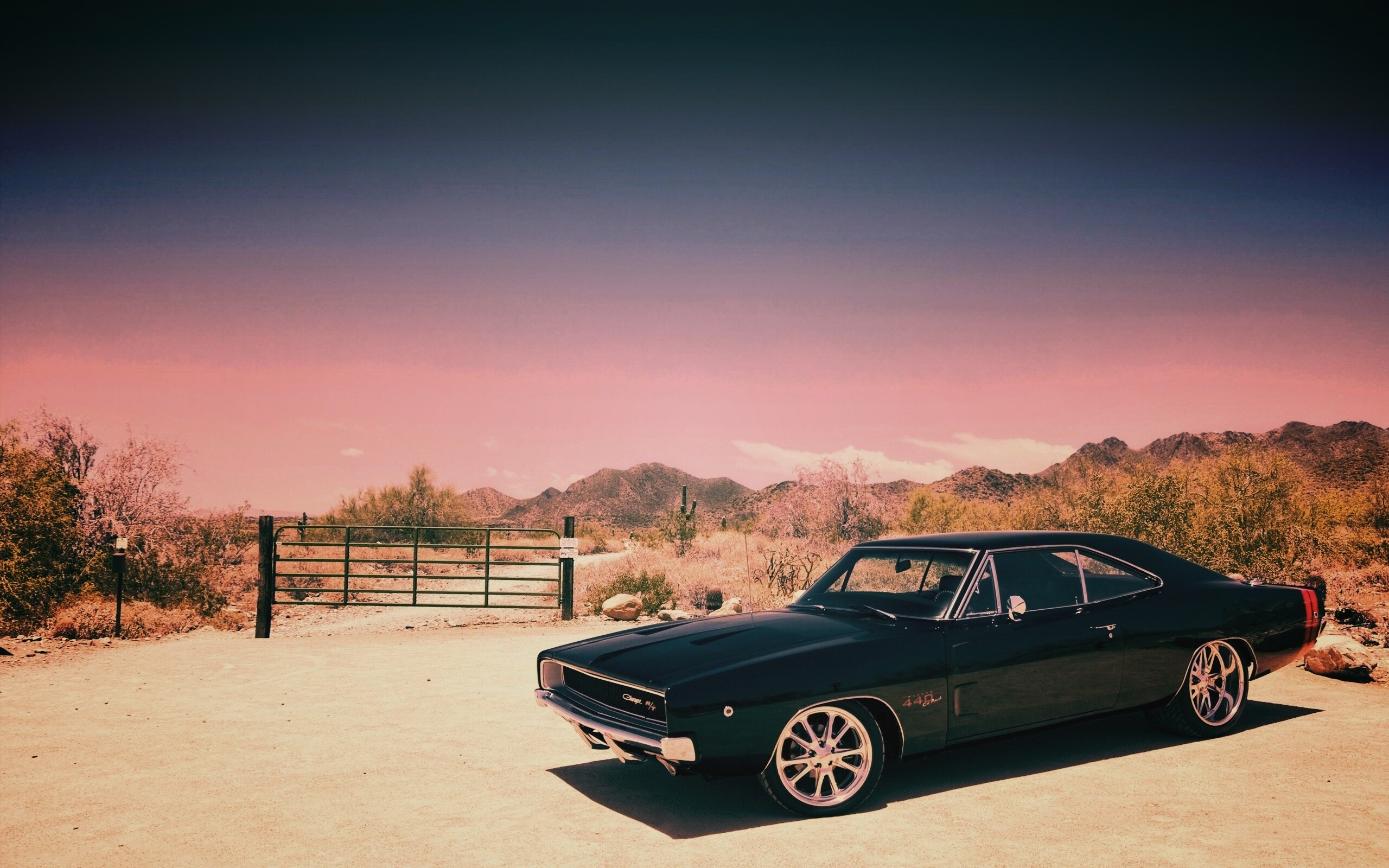 Мускулкар под палящим солнцем обои